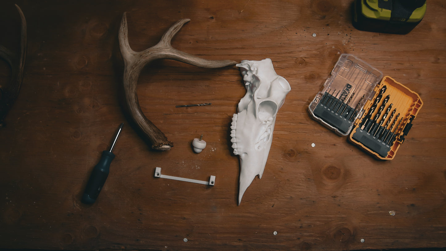 Snap Skull - Right Half
