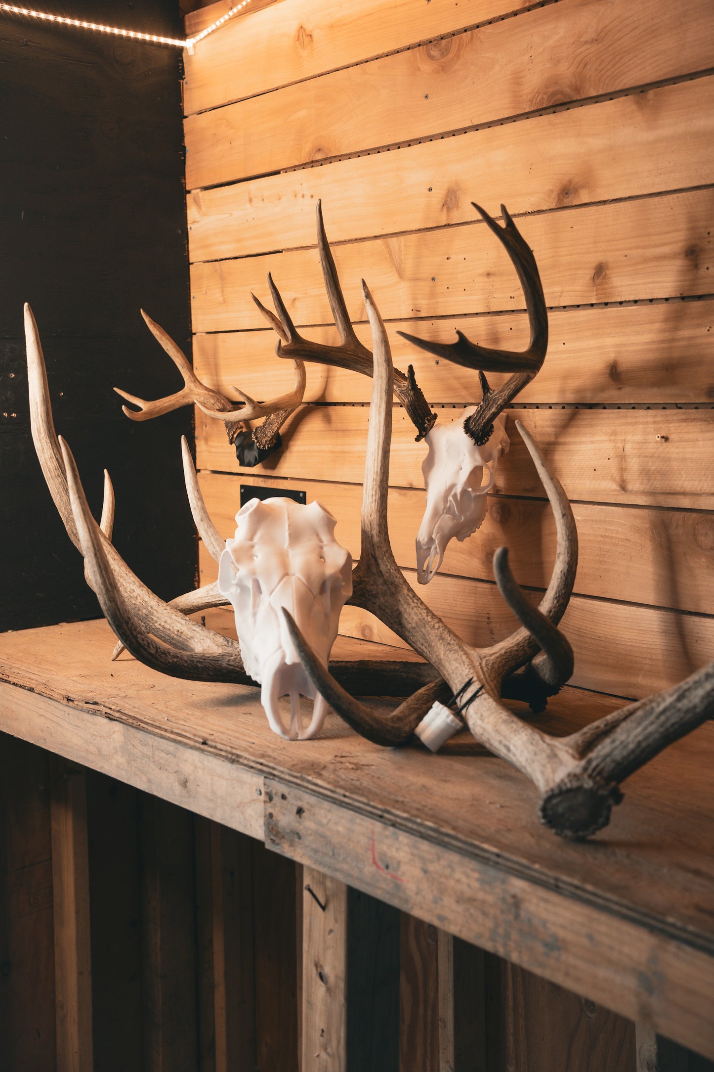 Elk Antler Snap Inserts - Set of 2