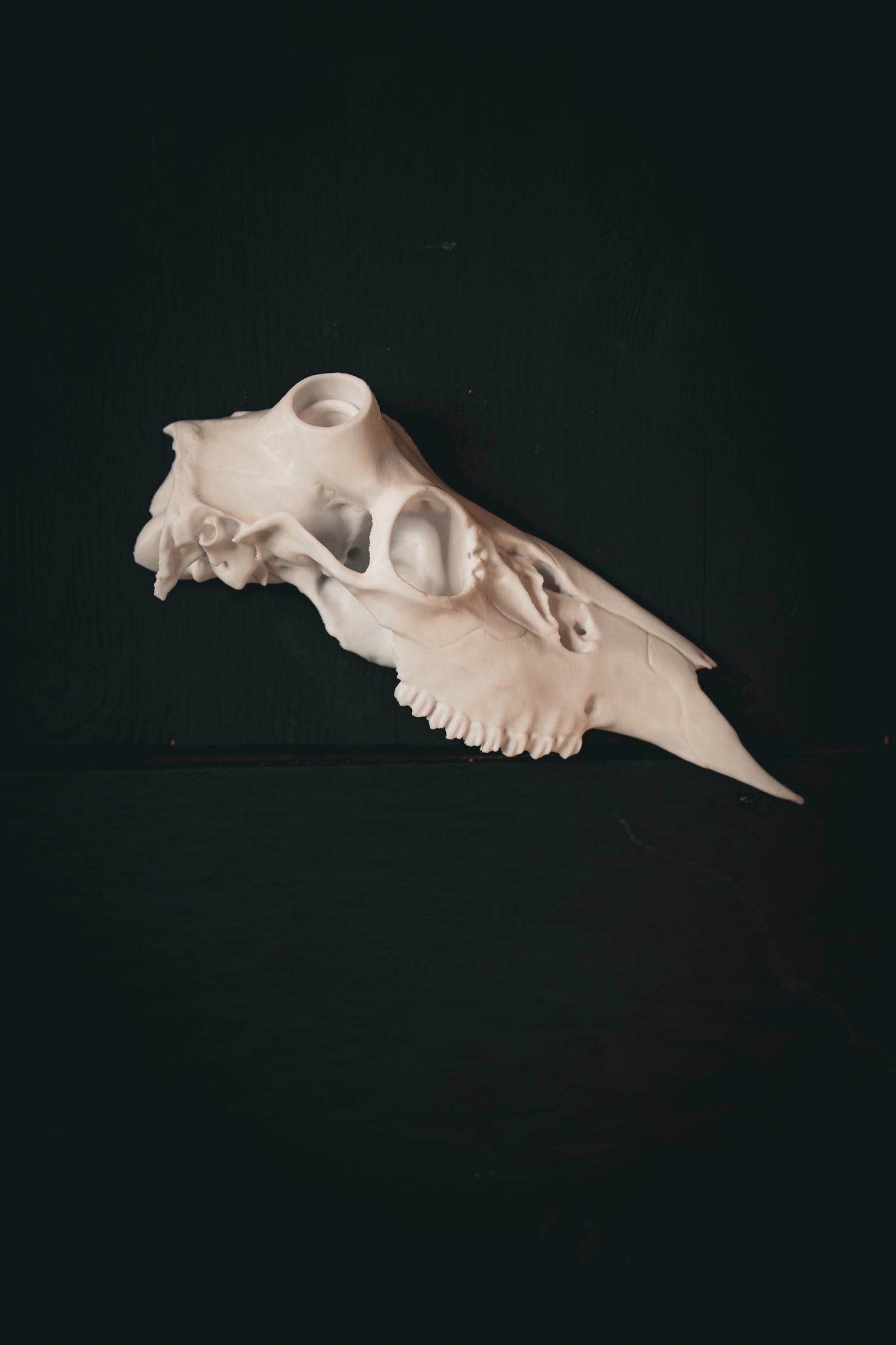 Snap Skull - Right Half