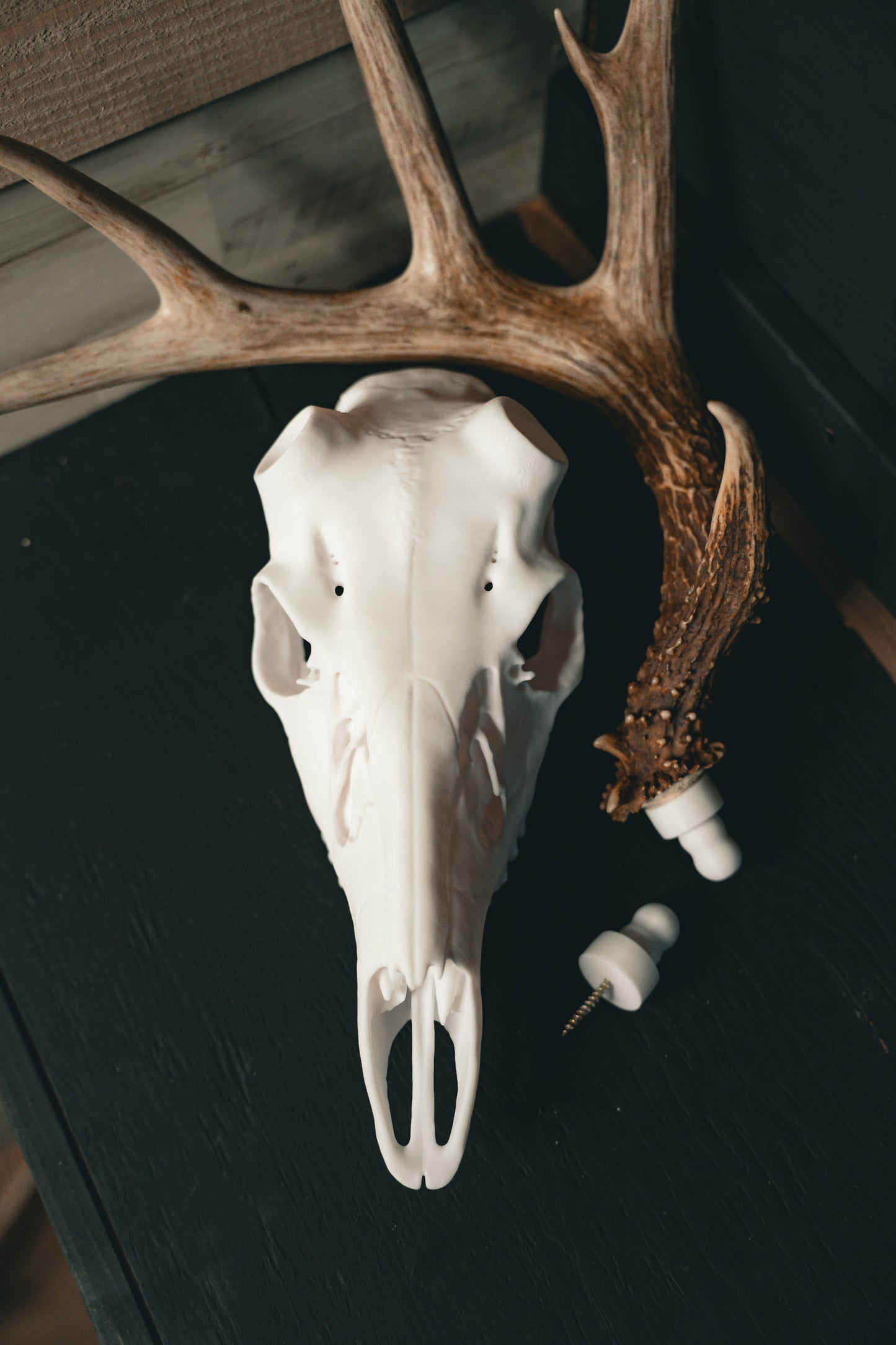XL Whitetail Snap Skull