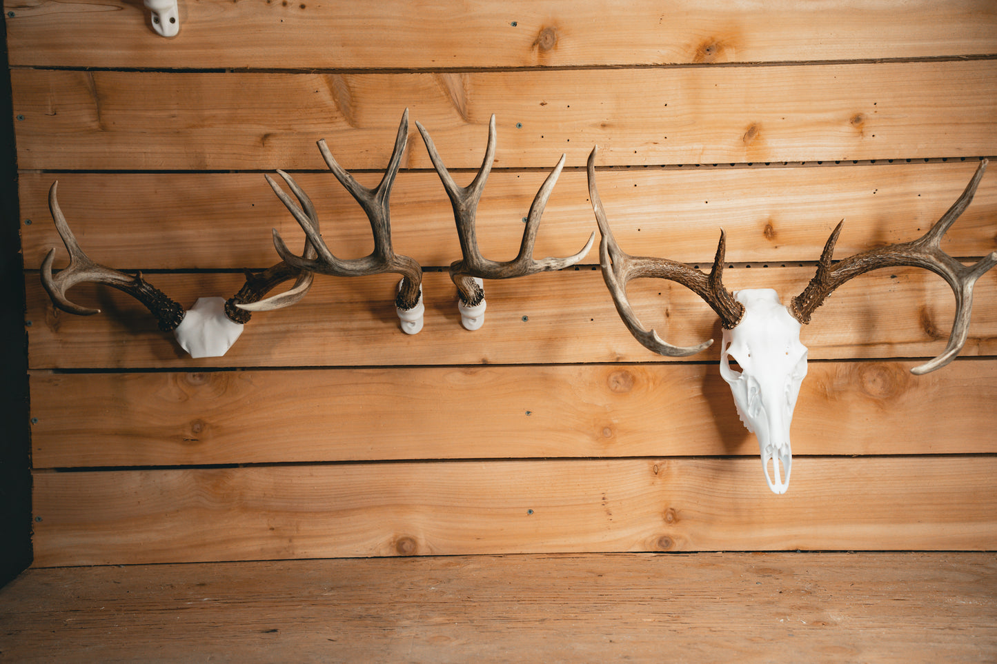 Trophy Room Bundle