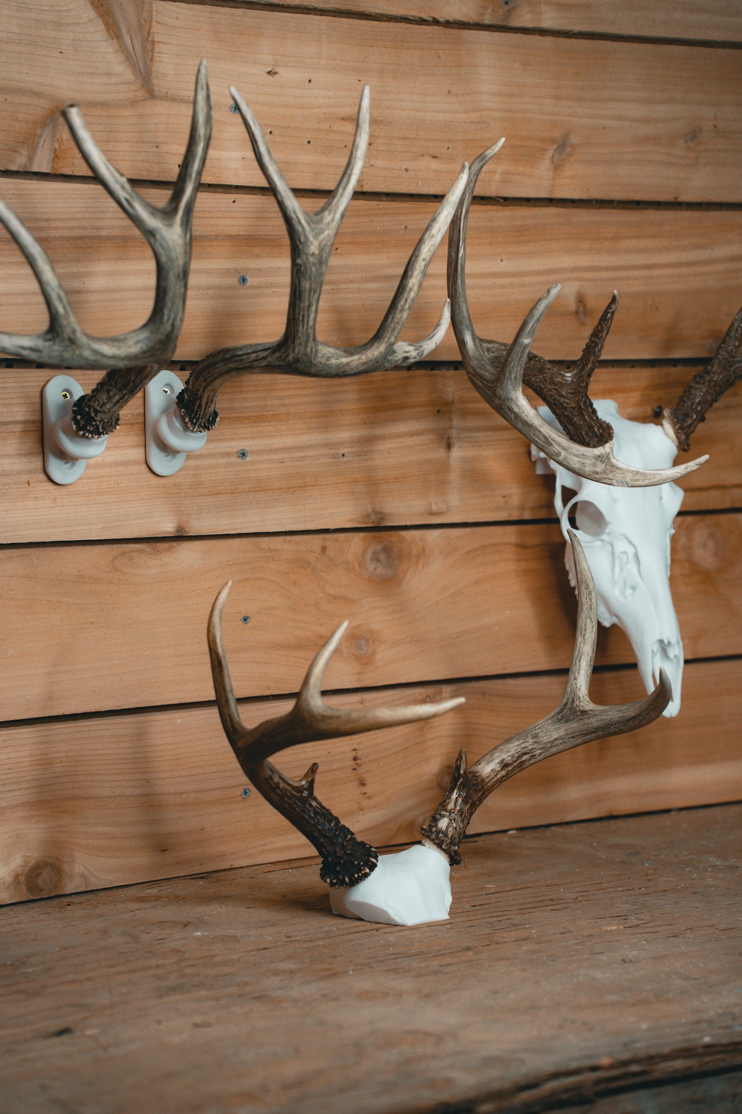 Trophy Room Bundle