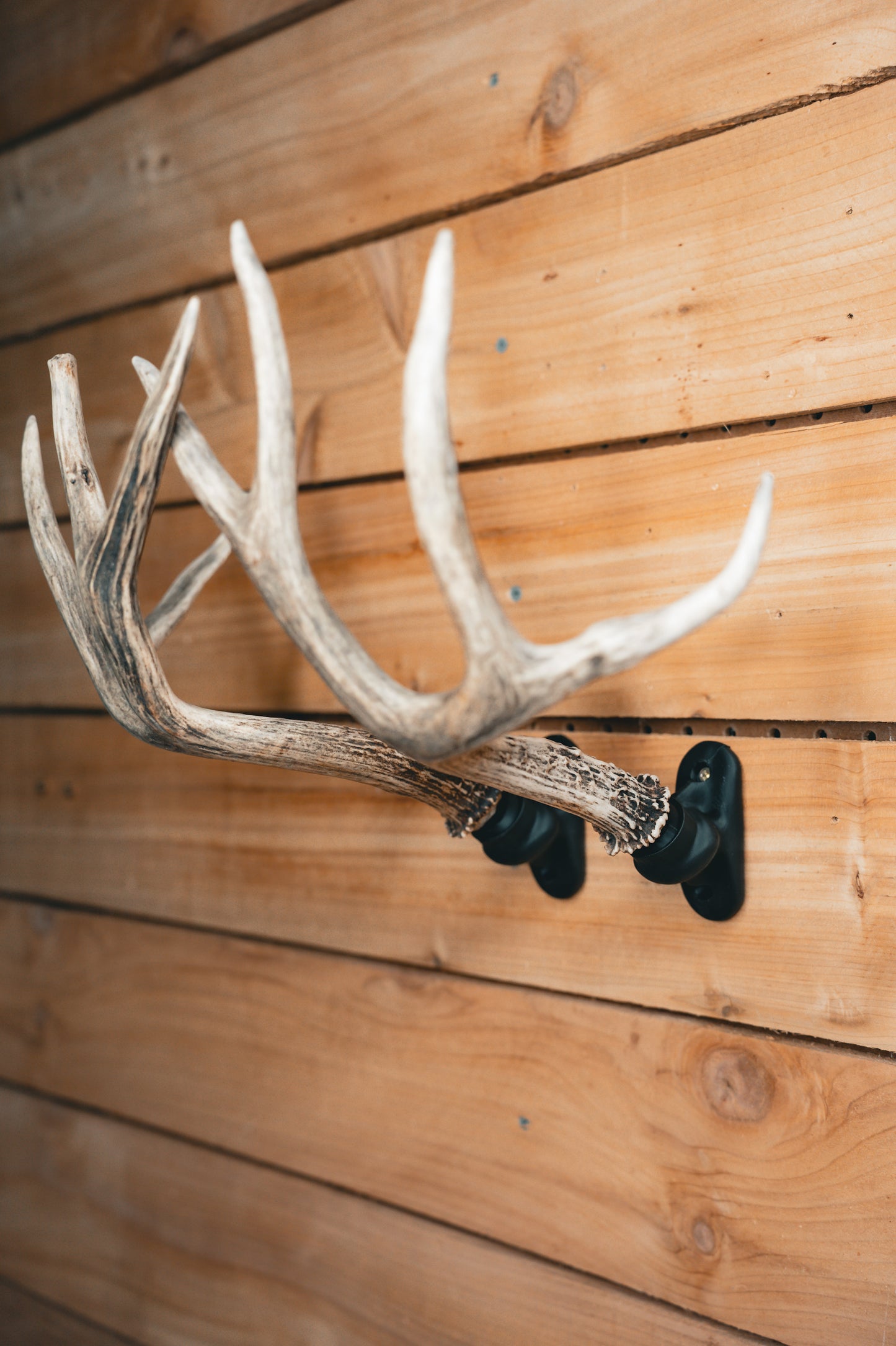 Antler Anchor - Set of 2