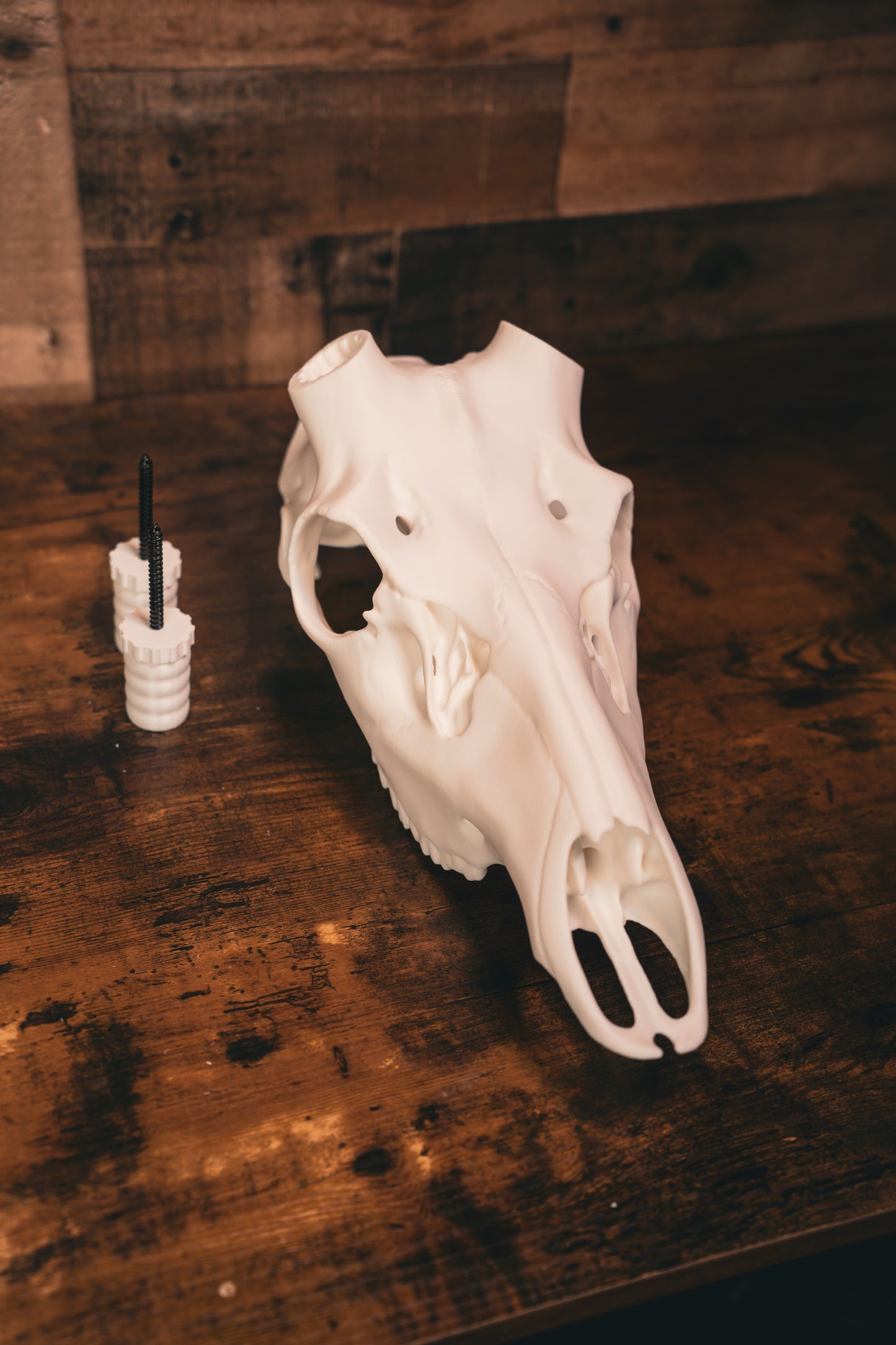Red Stag Replica Skull