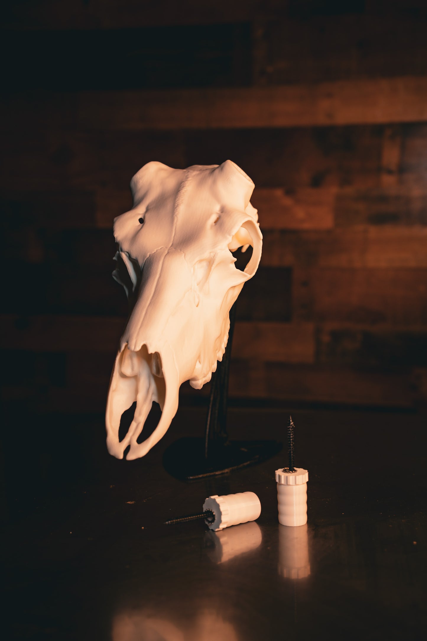 Caribou Replica Skull
