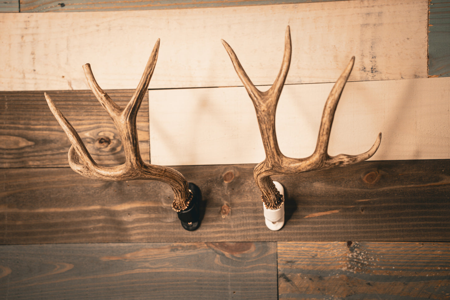 Buck Bracket - Deer Antler Mount