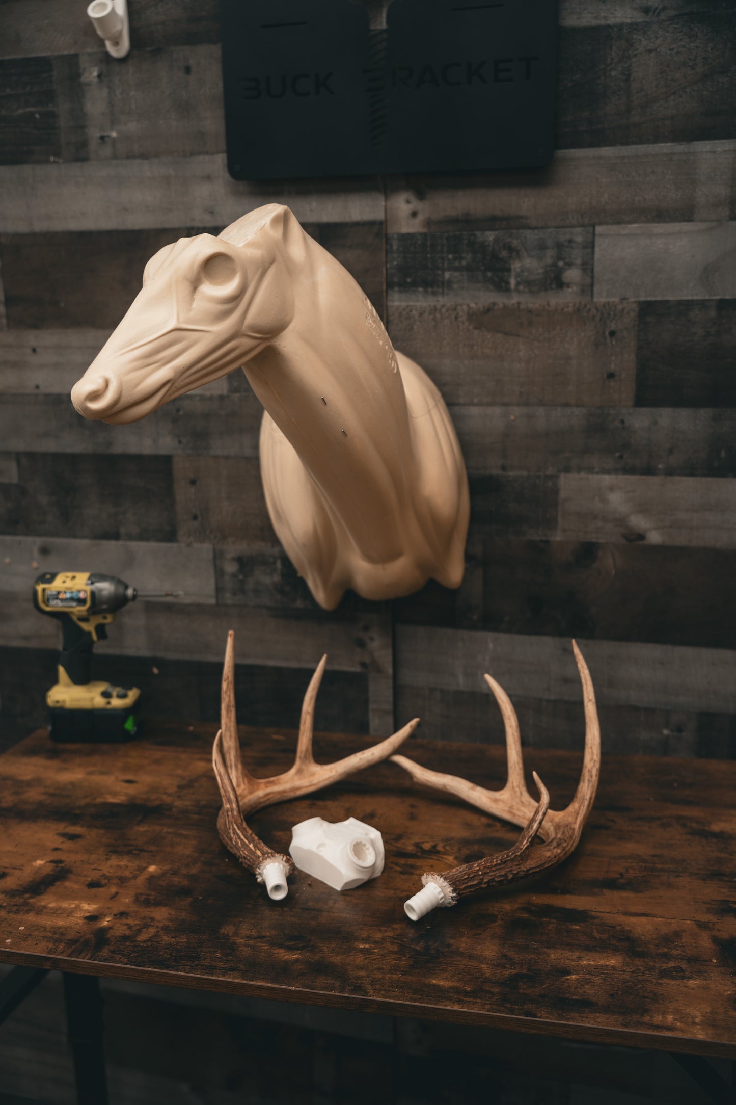 Deer Skull Cap - Shoulder Mount