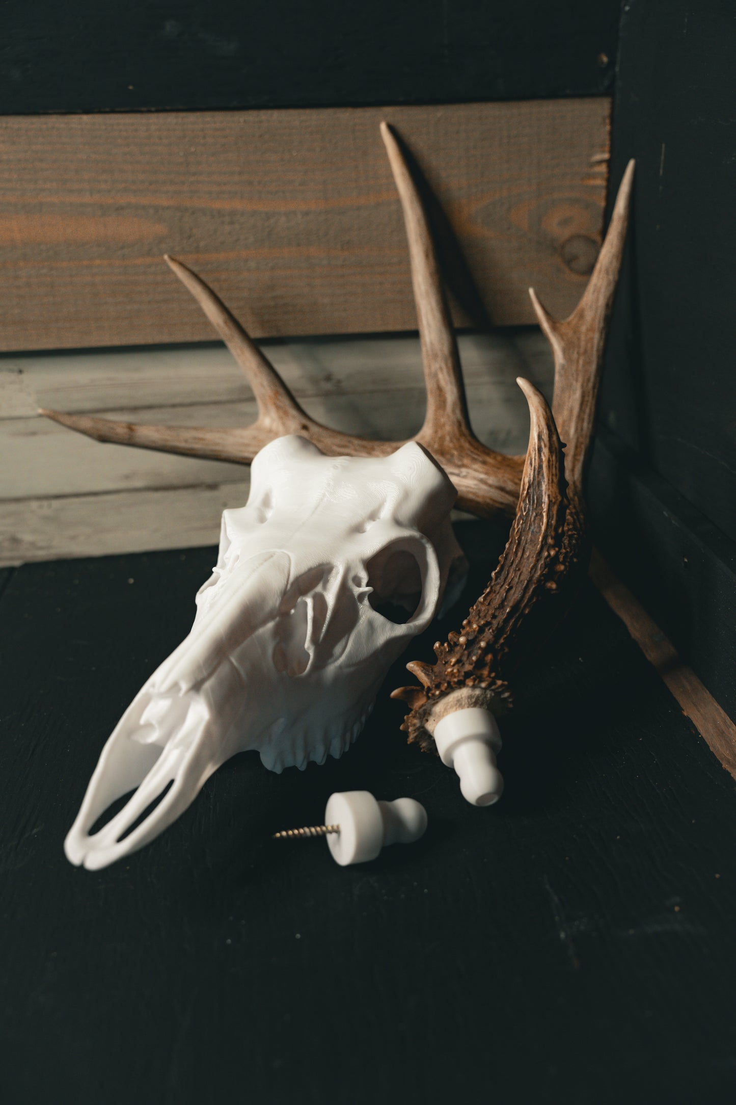 XL Whitetail Snap Skull