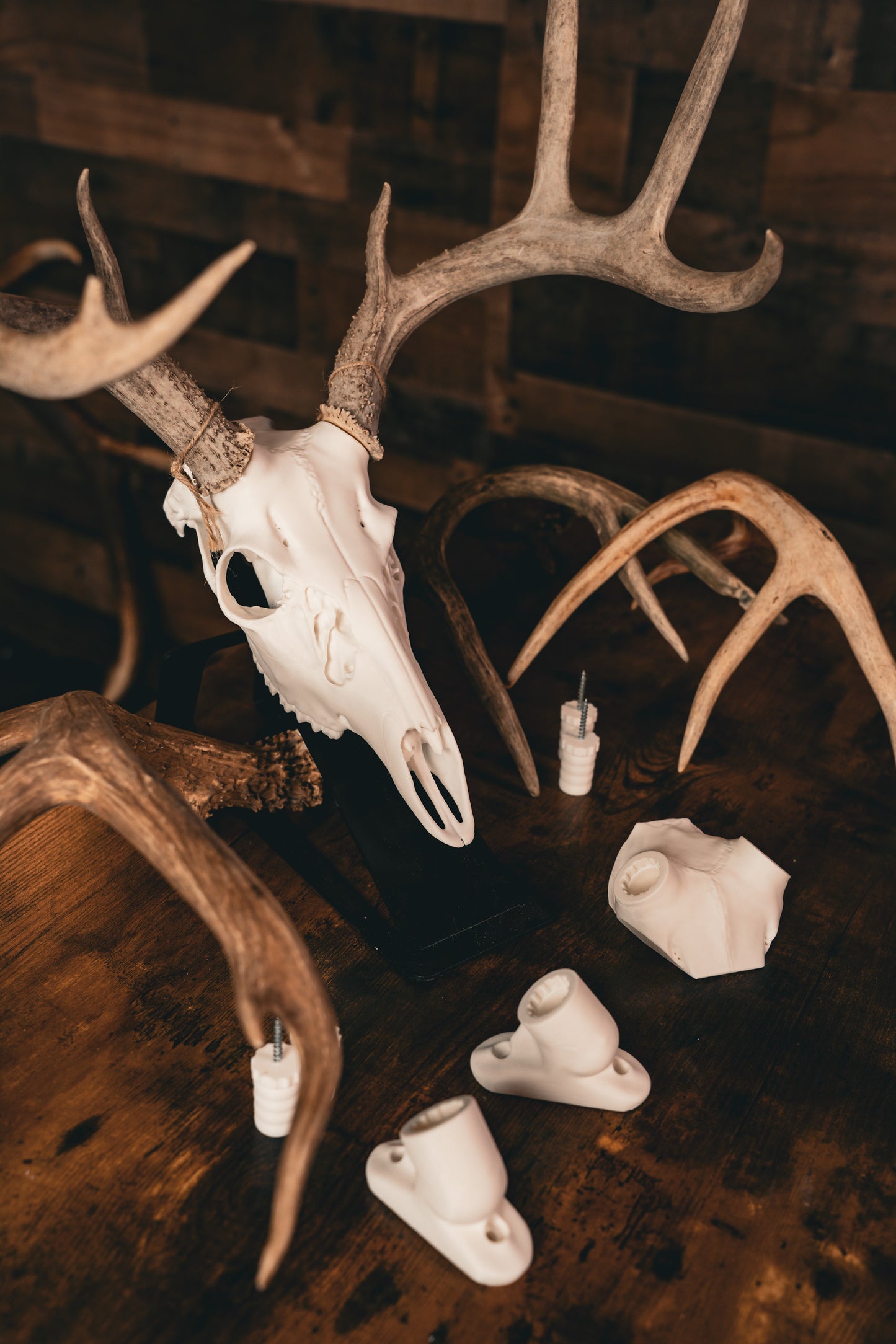 Trophy Room Bundle