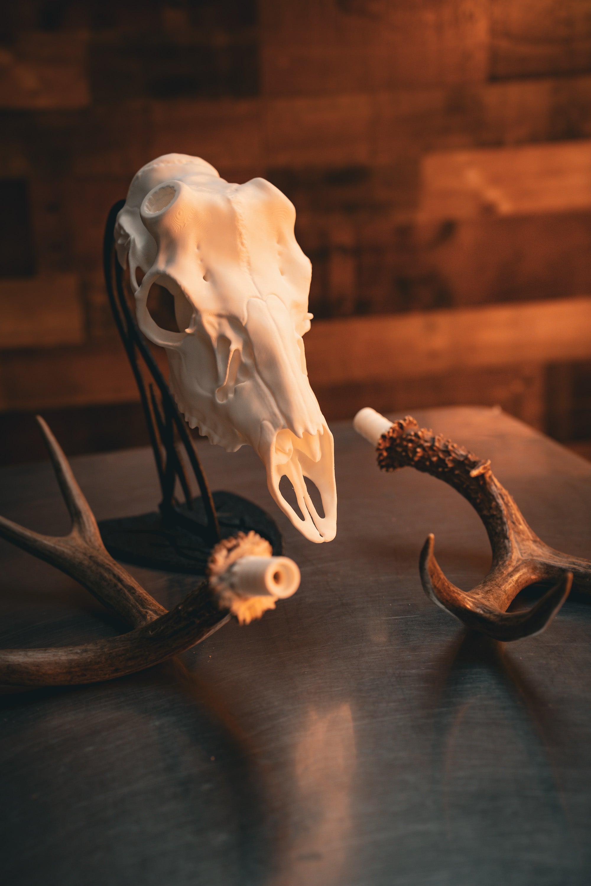 Mule Deer - Replica Mount – Buck Bracket