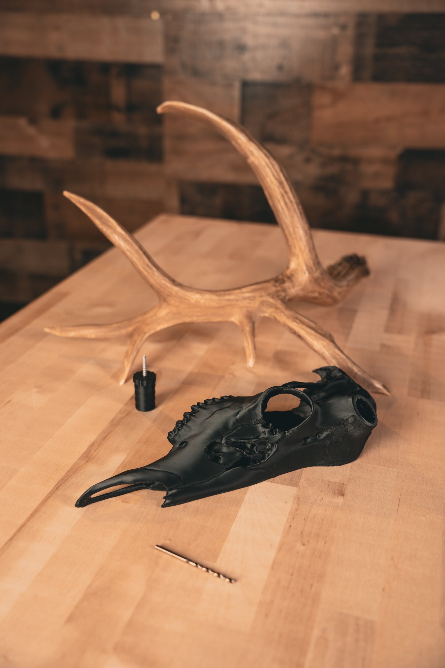 Deer Half Skull Mount
