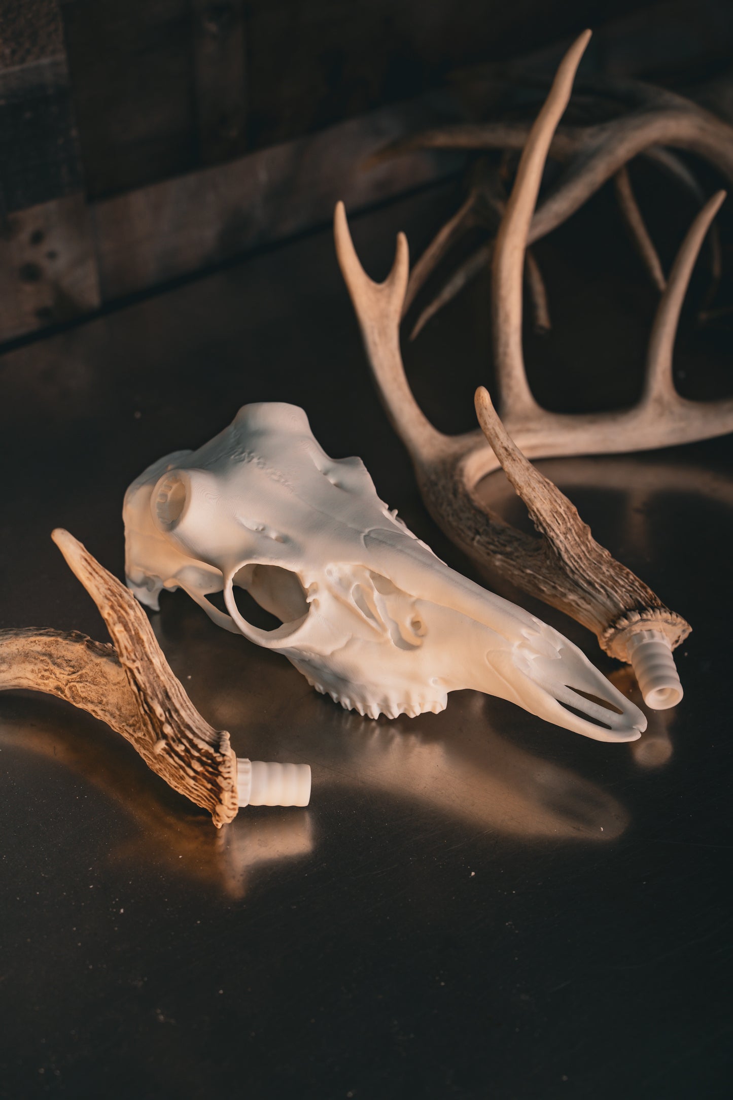 Deer Snap Antler Inserts Set