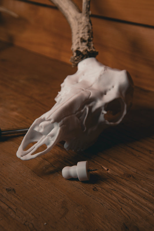 Mule Deer Snap Skull - Replica Mount