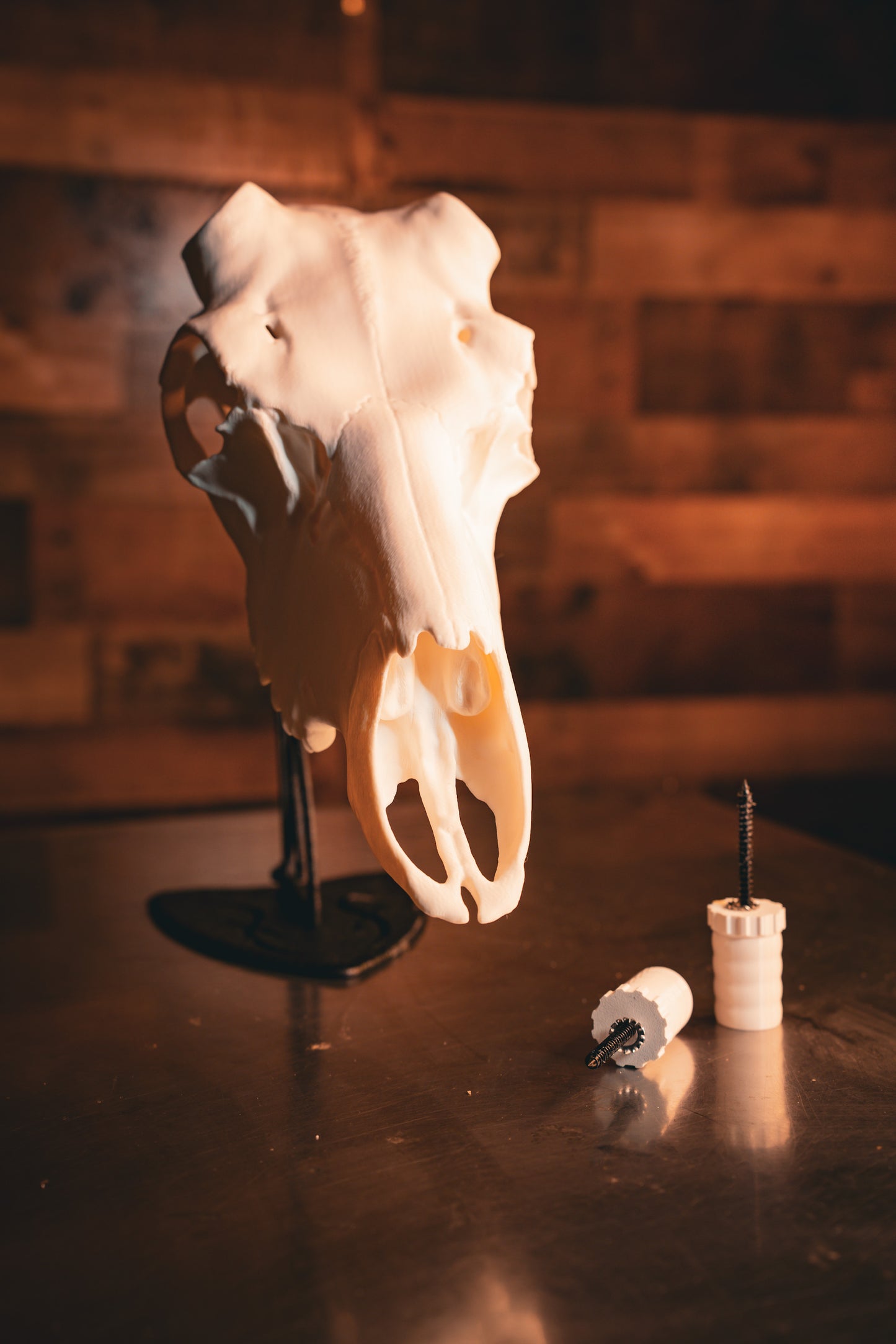 Caribou Replica Skull