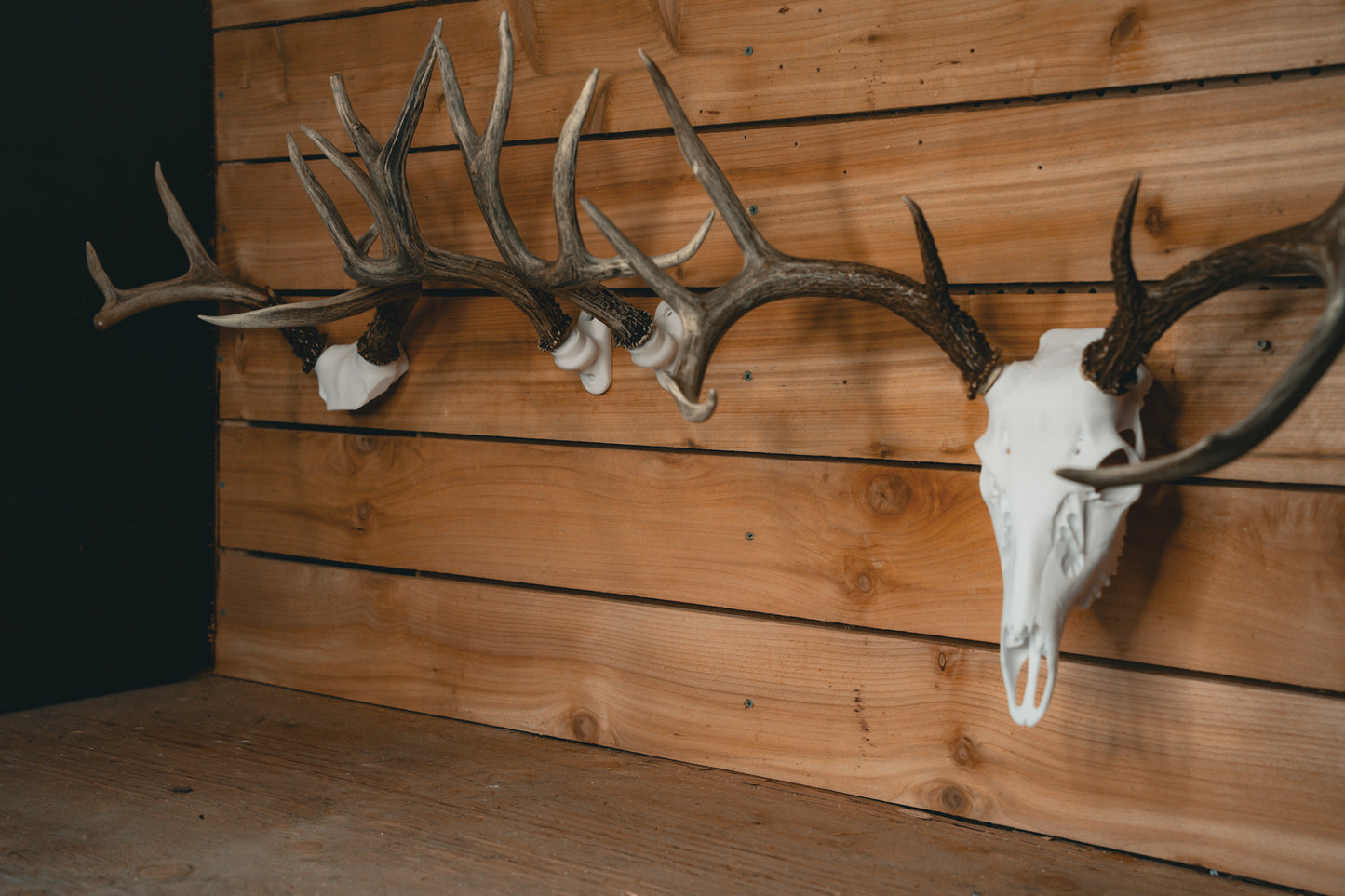Trophy Room Bundle