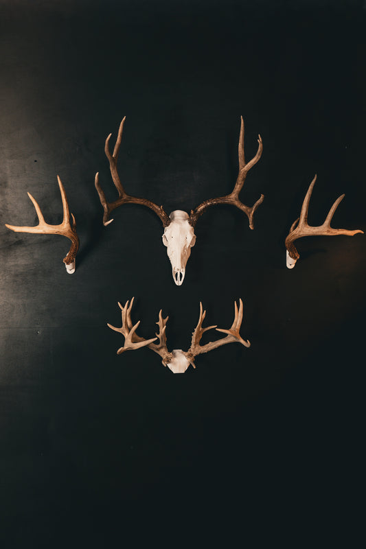 Trophy Room Bundle