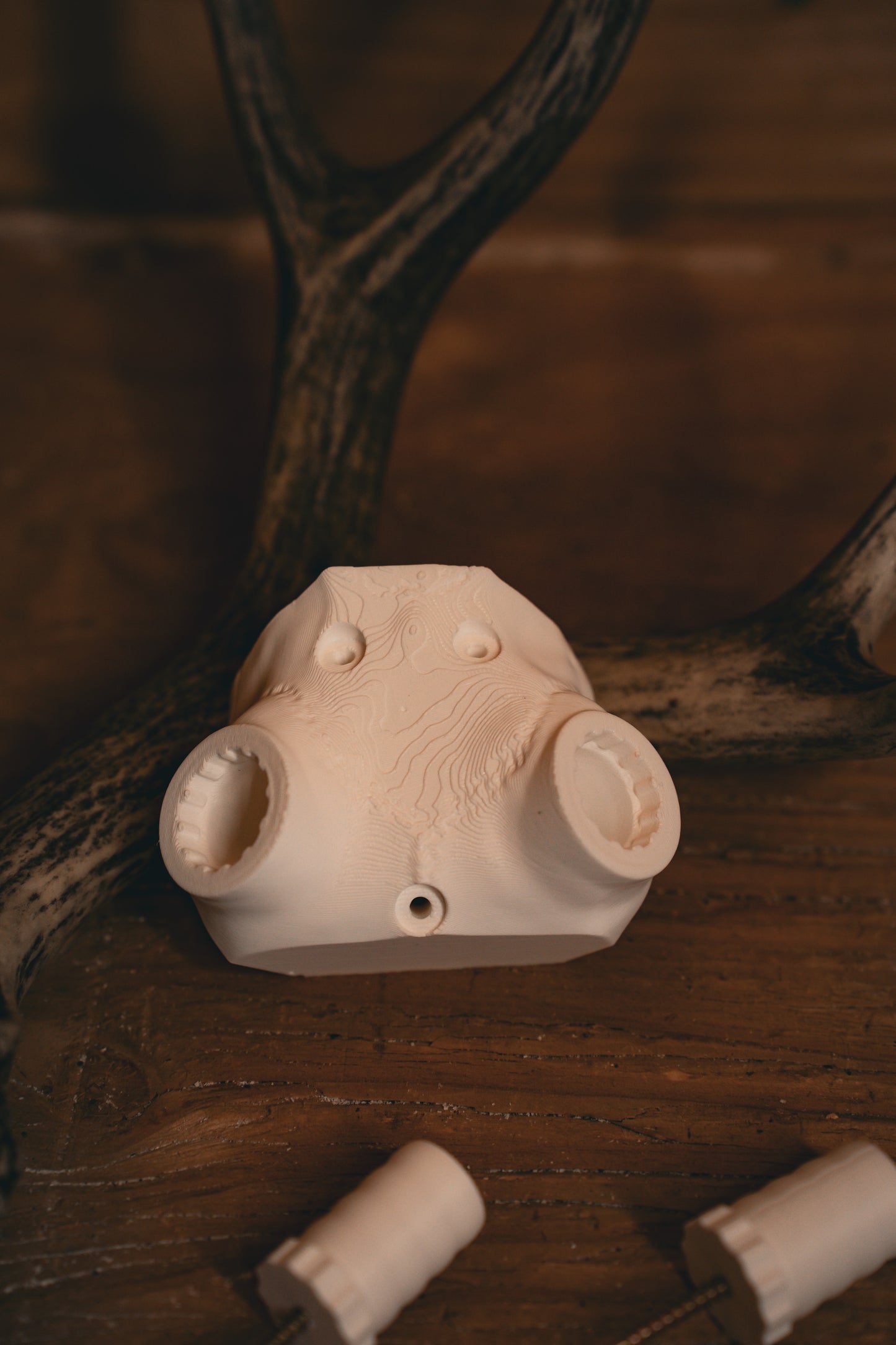 Deer Skull Cap - Shoulder Mount