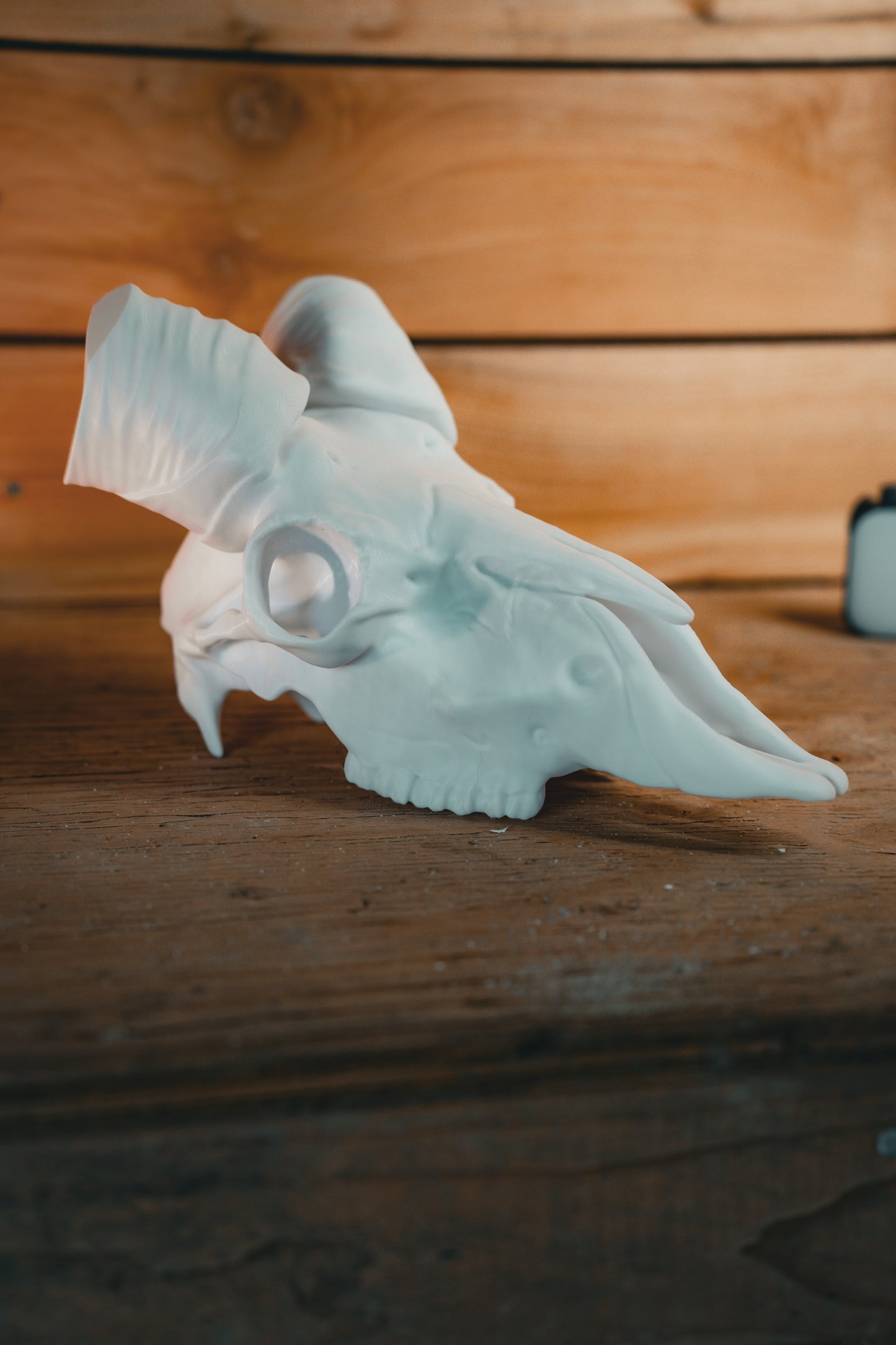 Ram Skull - Bighorn Mount System