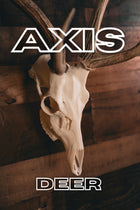 Axis Deer - Replica Mount