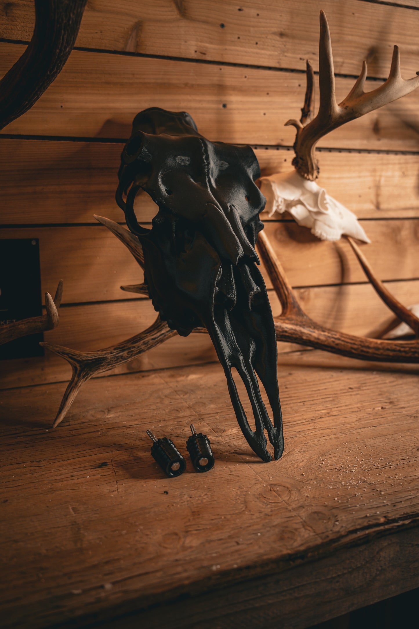 Moose Snap Skull - Replica Mount