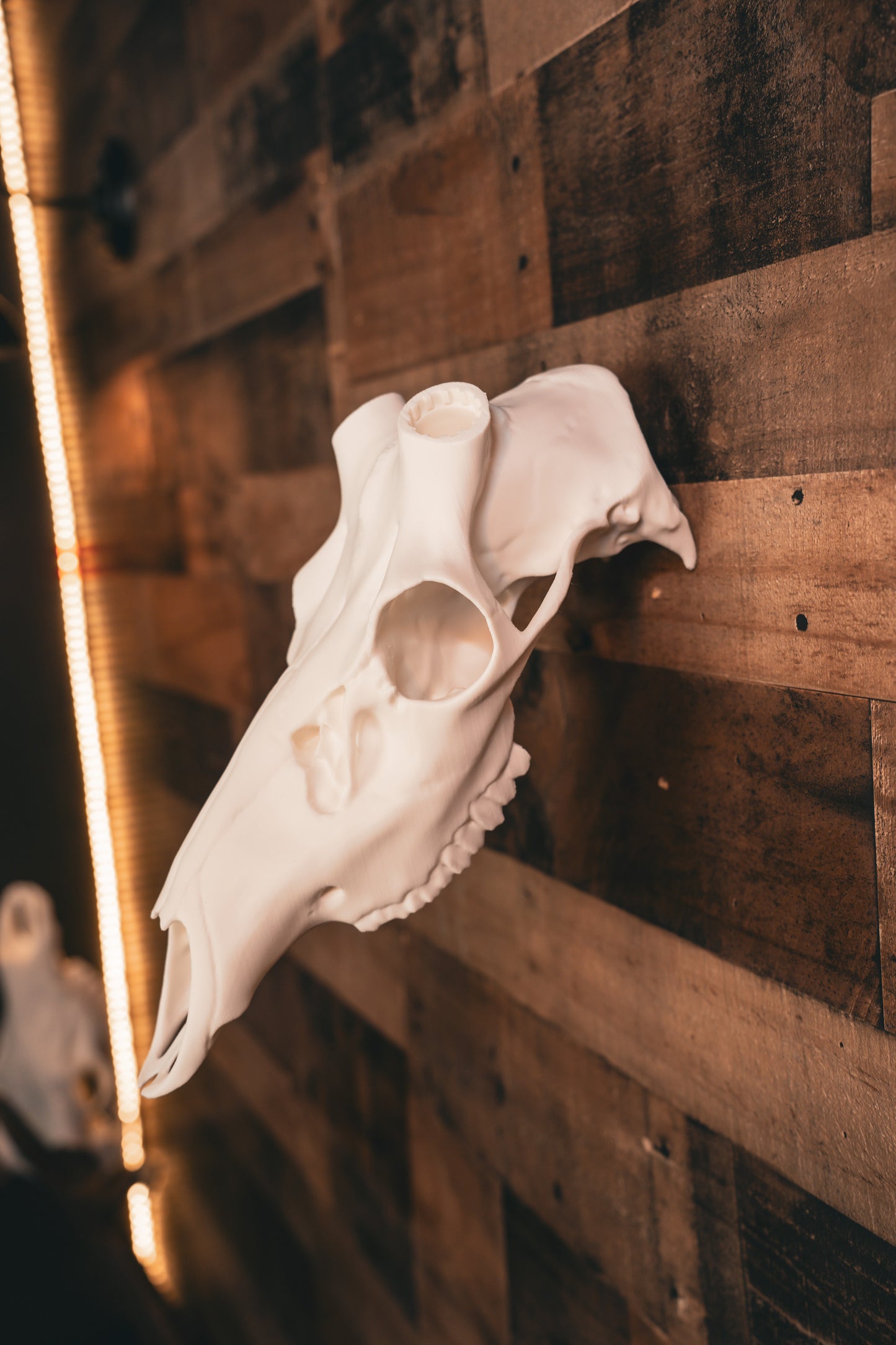 Red Stag Replica Skull