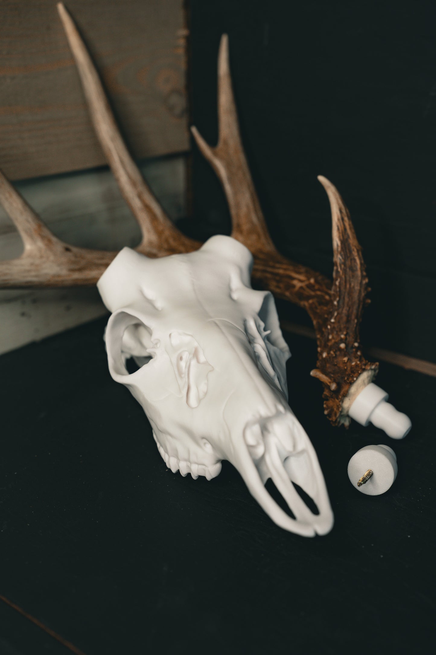 XL Whitetail Snap Skull
