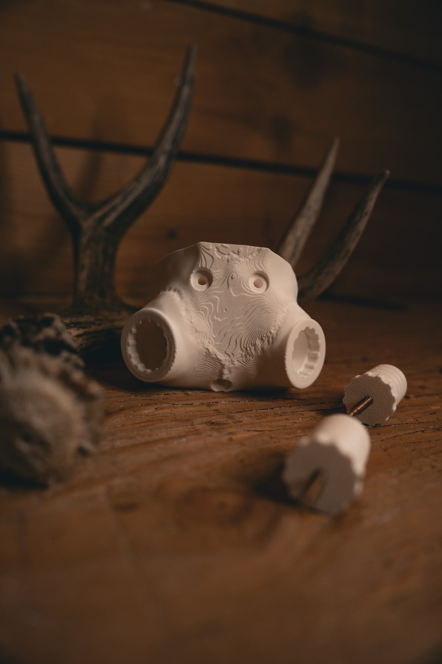 Deer Skull Cap - Shoulder Mount