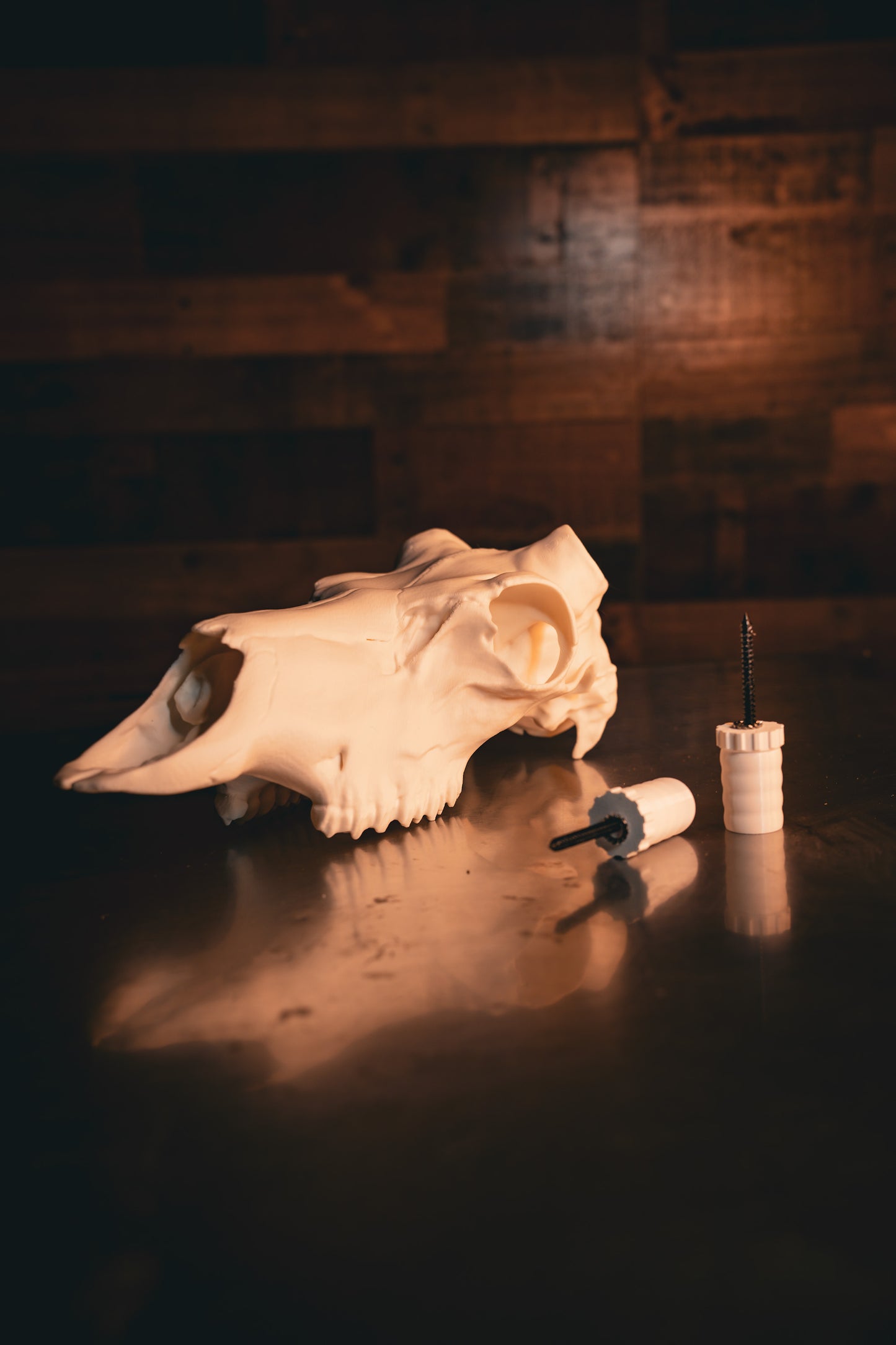 Caribou Replica Skull