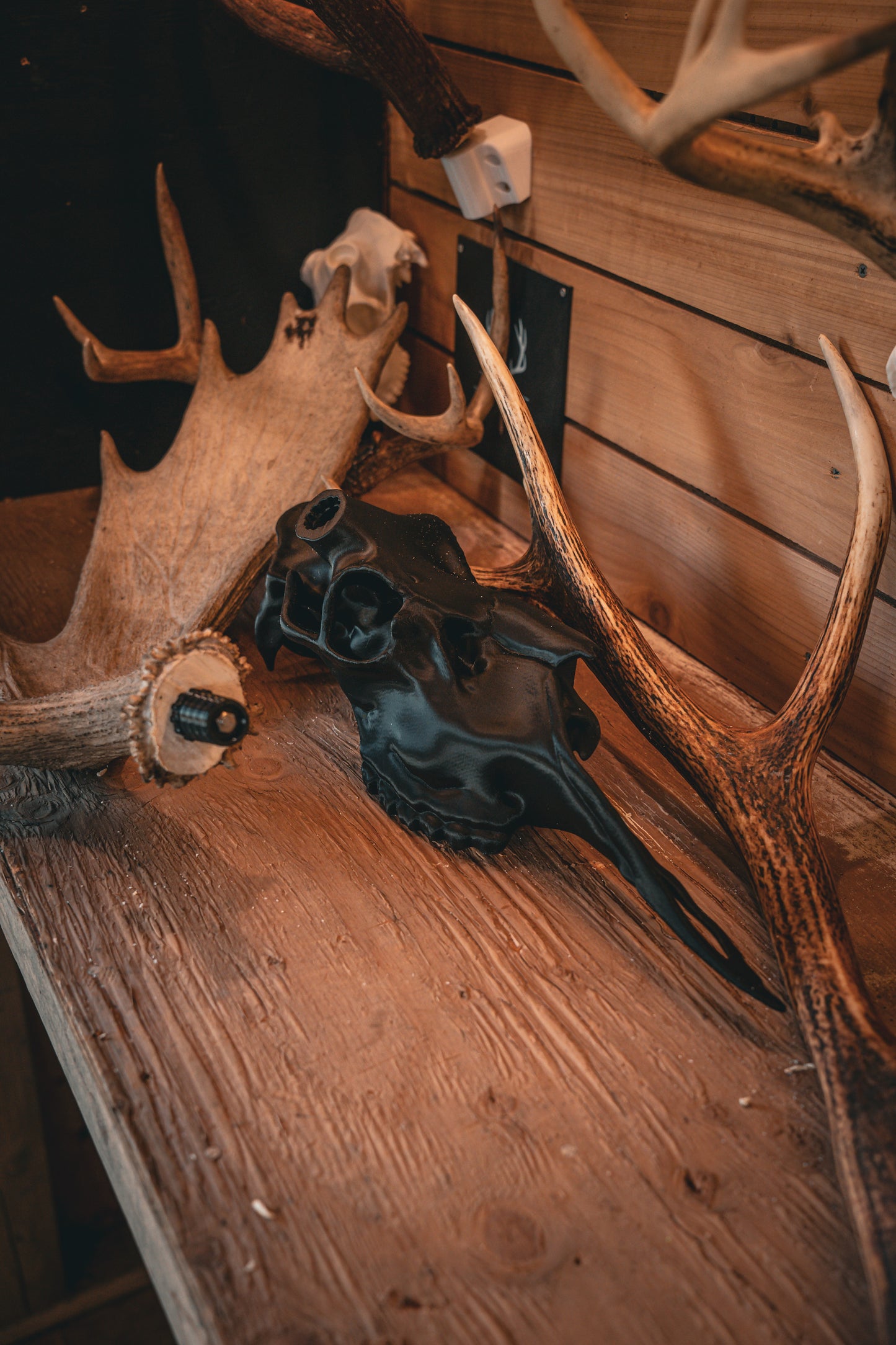 Moose Half Skull Mount