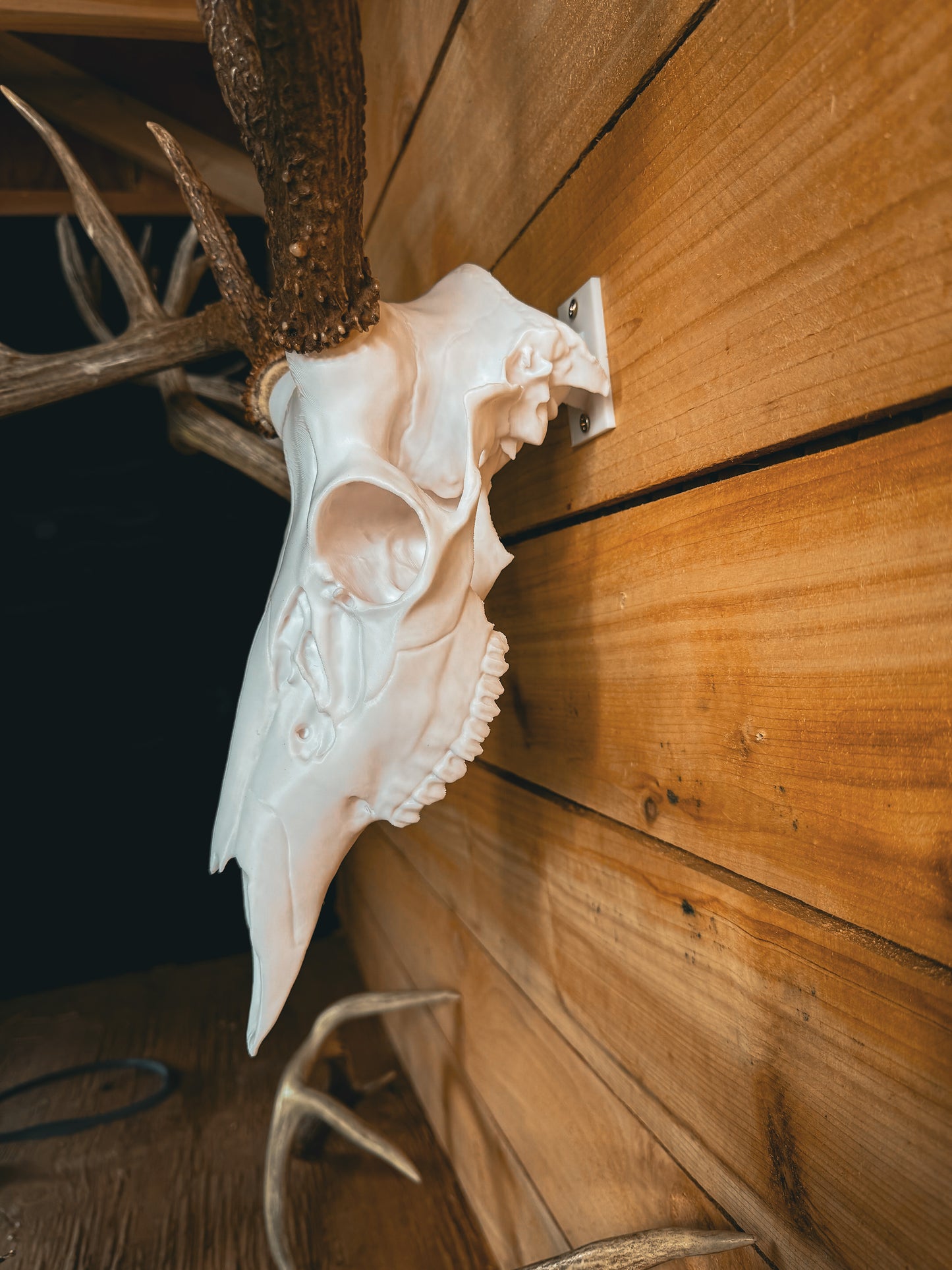 Deer Skull Hanger