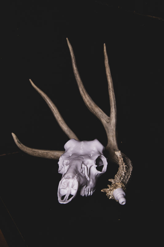 XL Mule Deer Snap Skull
