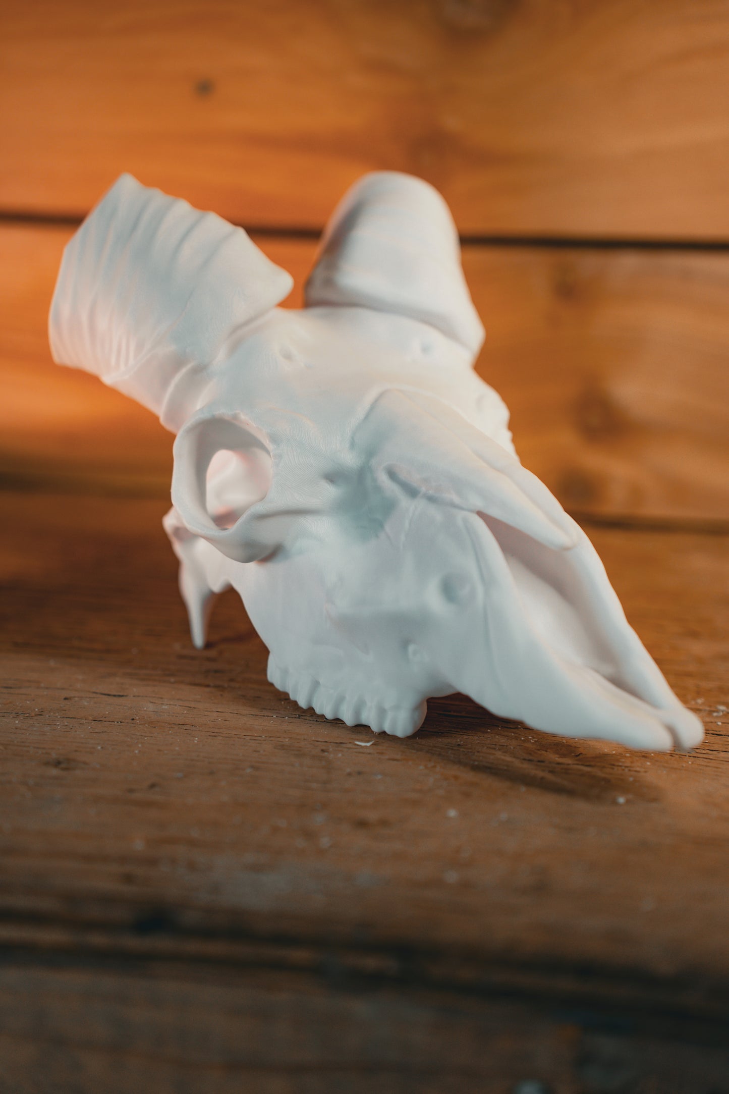 Ram Skull - Bighorn Mount System