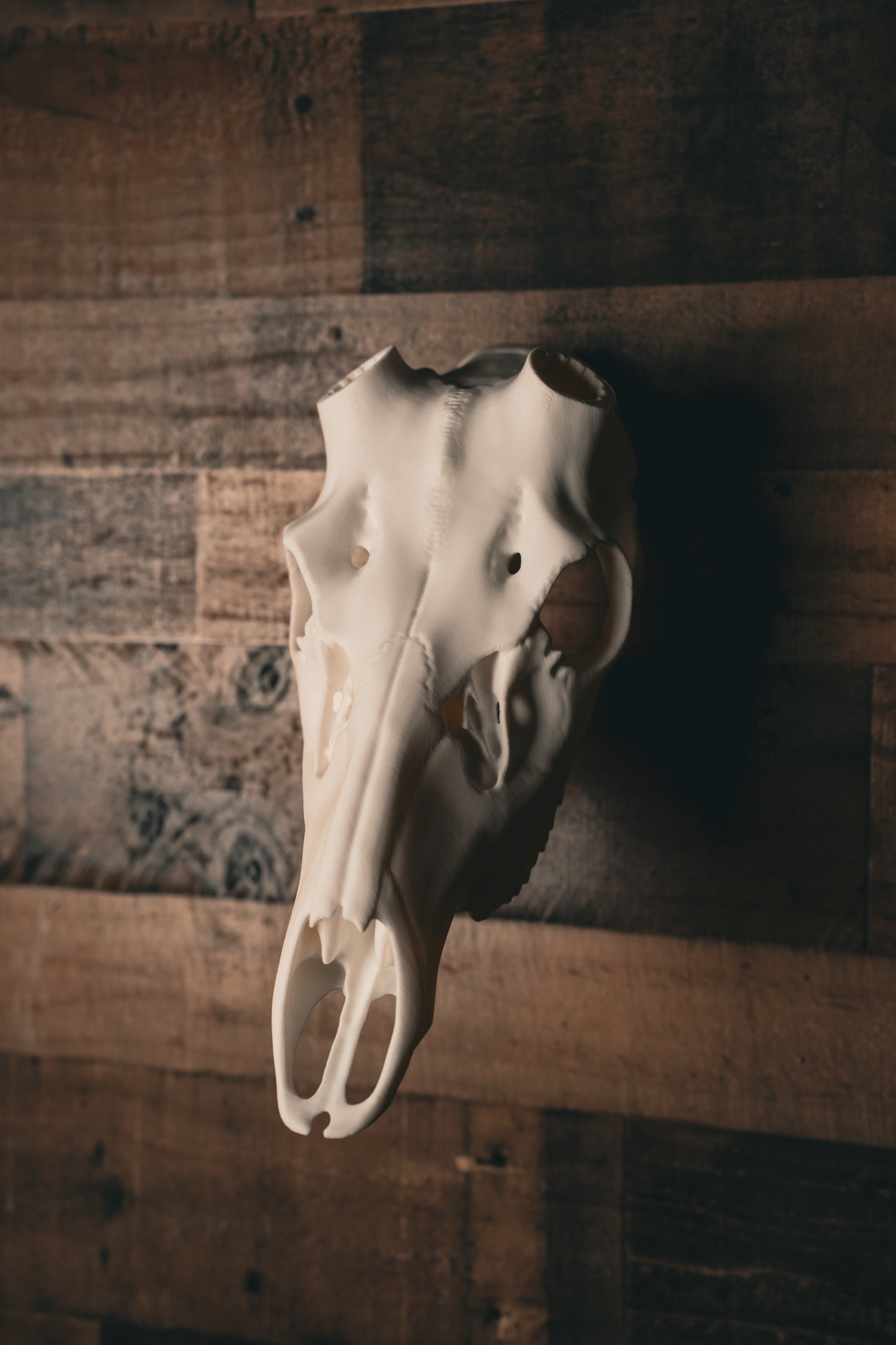 Red Stag Replica Skull