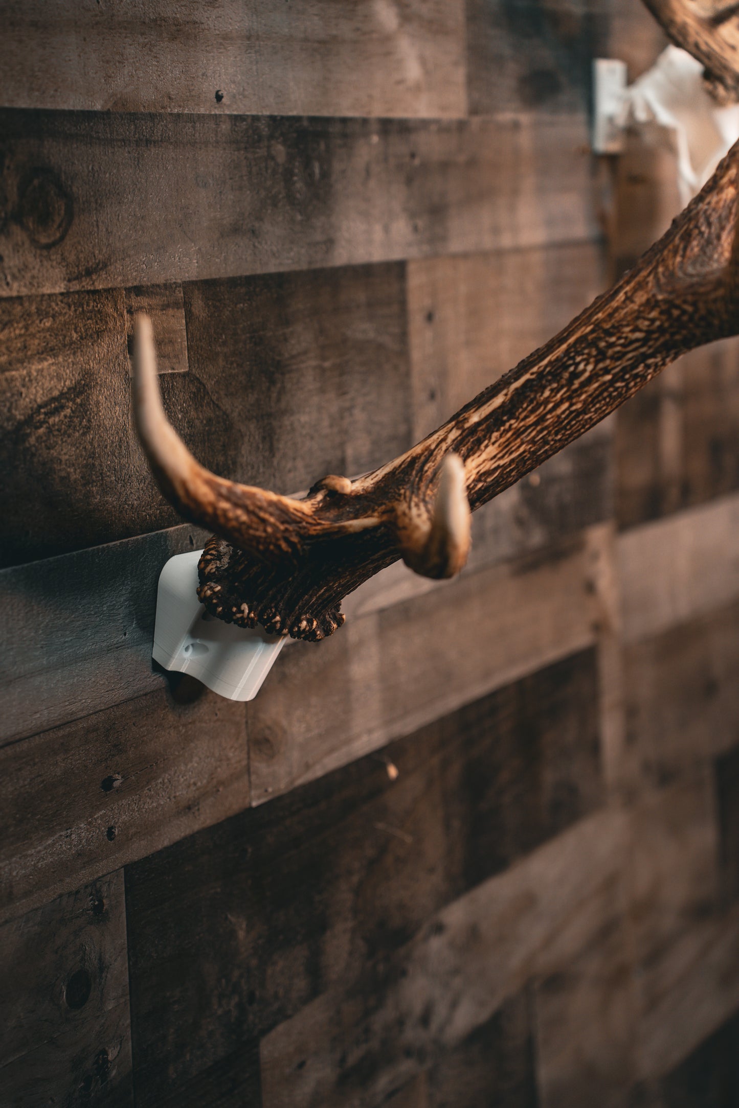 Bull Bracket