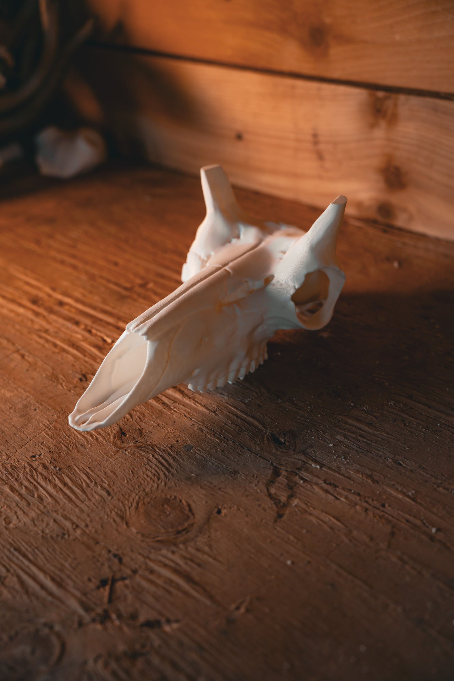 Pronghorn Replica Skull