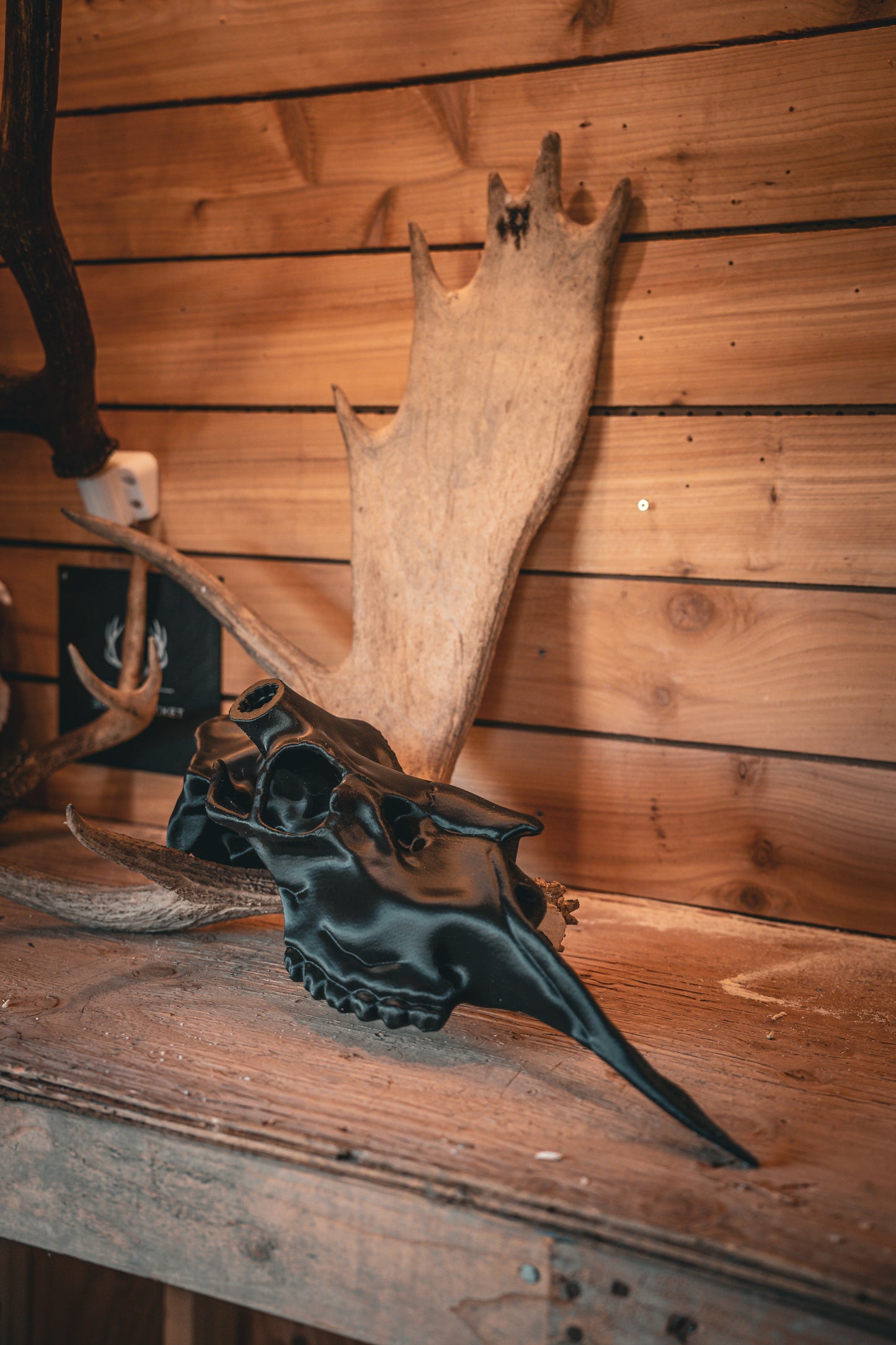 Moose Half Skull Mount