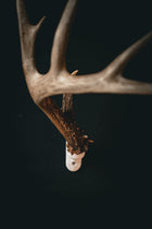 Buck Bracket - Deer Antler Mount