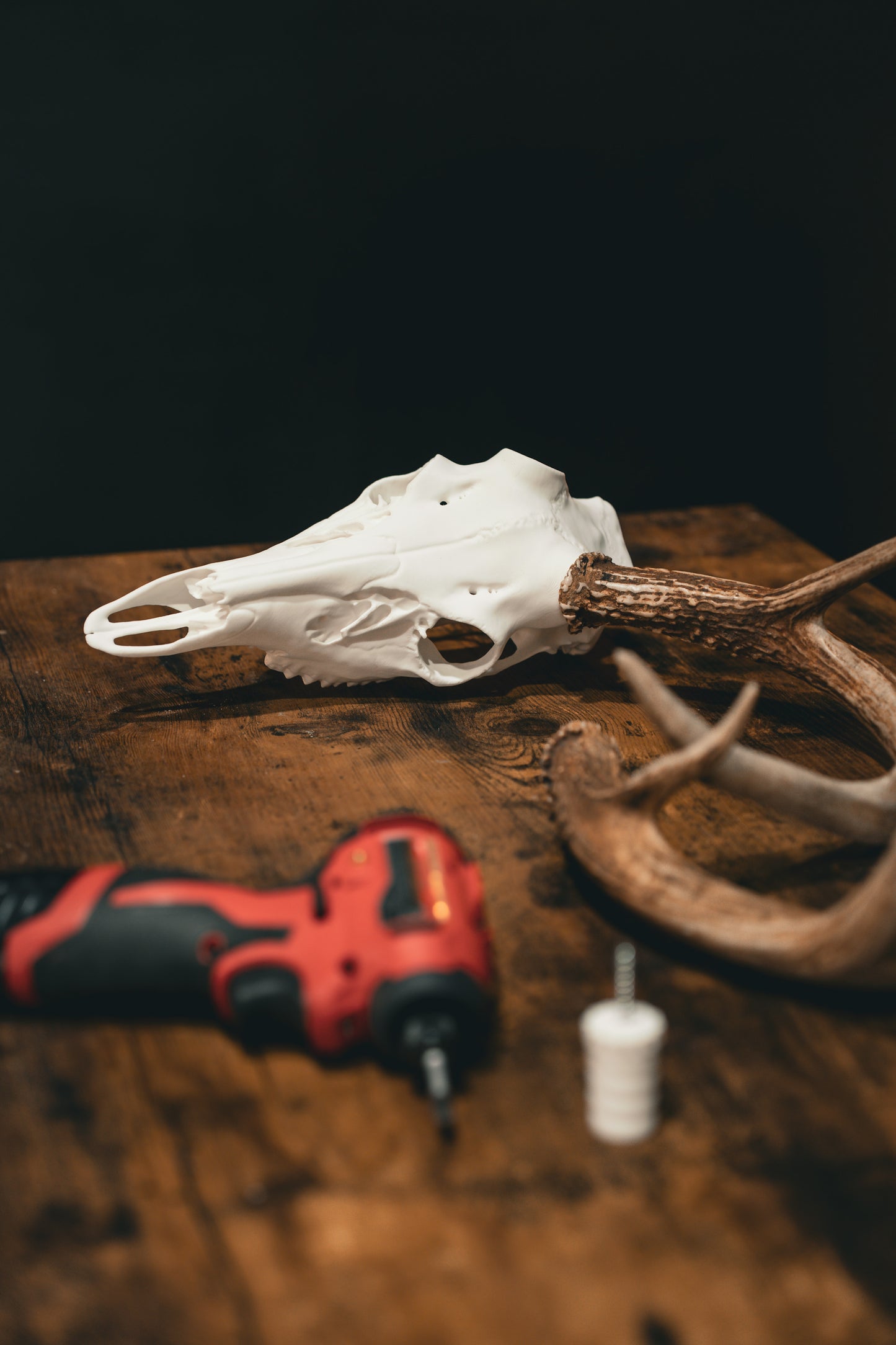 Whitetail Deer - Replica Mount