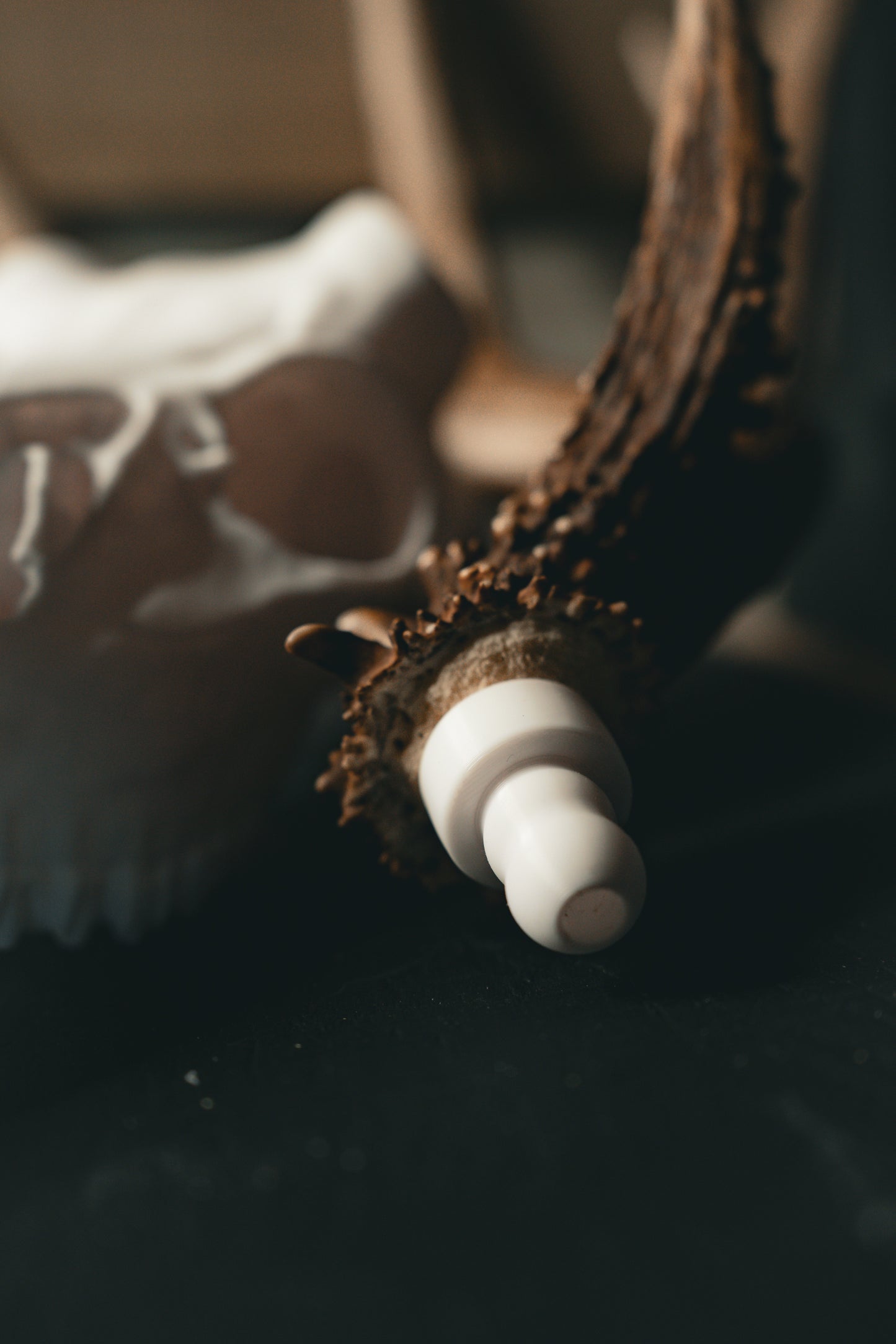XL Whitetail Snap Skull