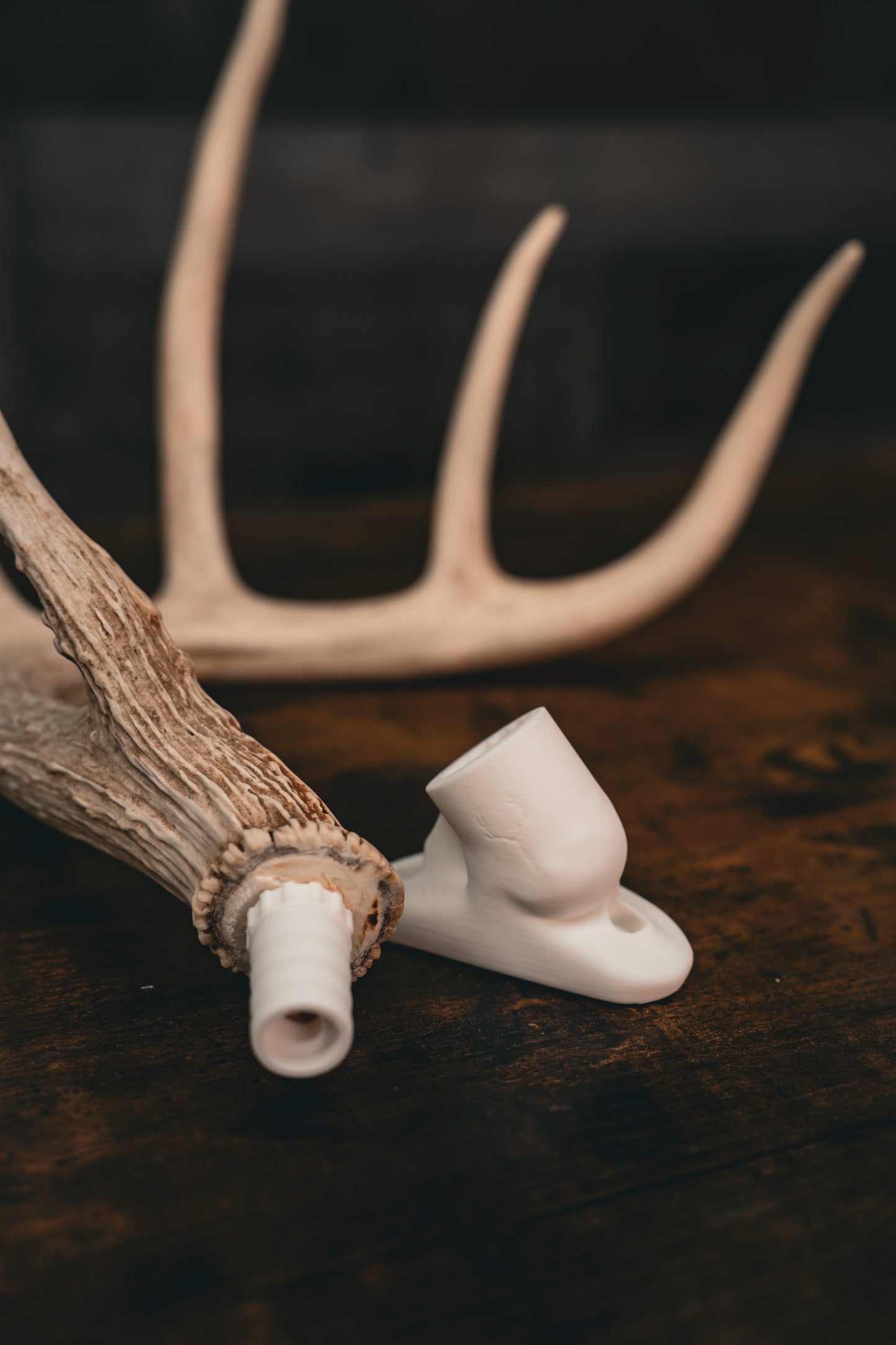 Buck Bracket - Deer Antler Mount