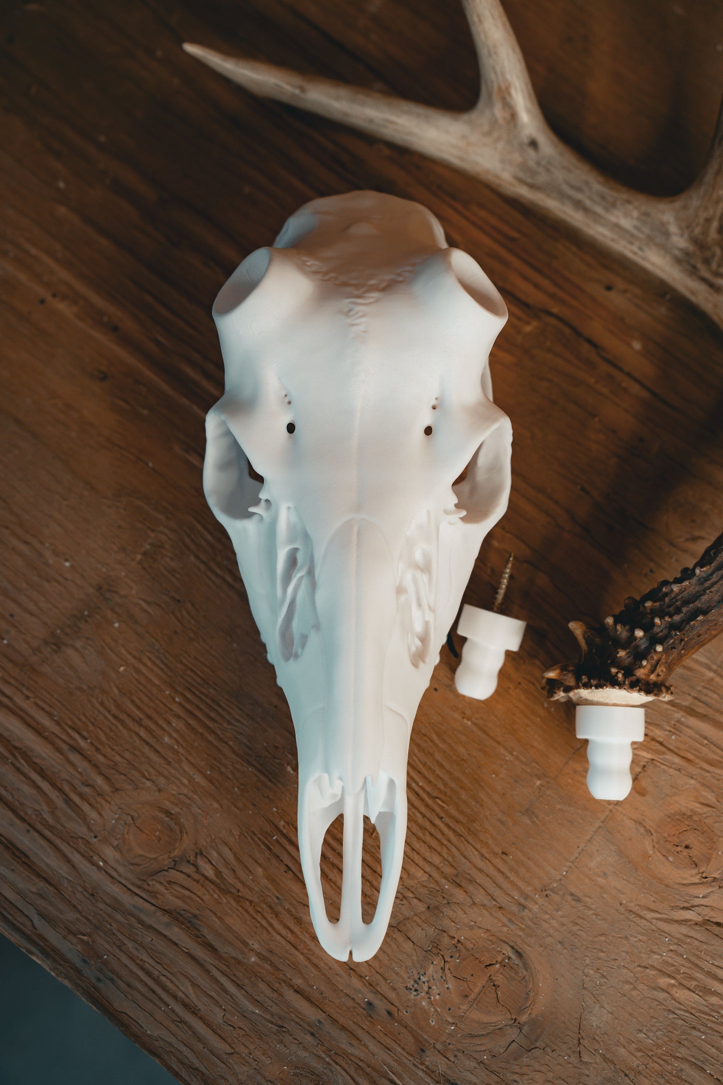 XL Whitetail Snap Skull