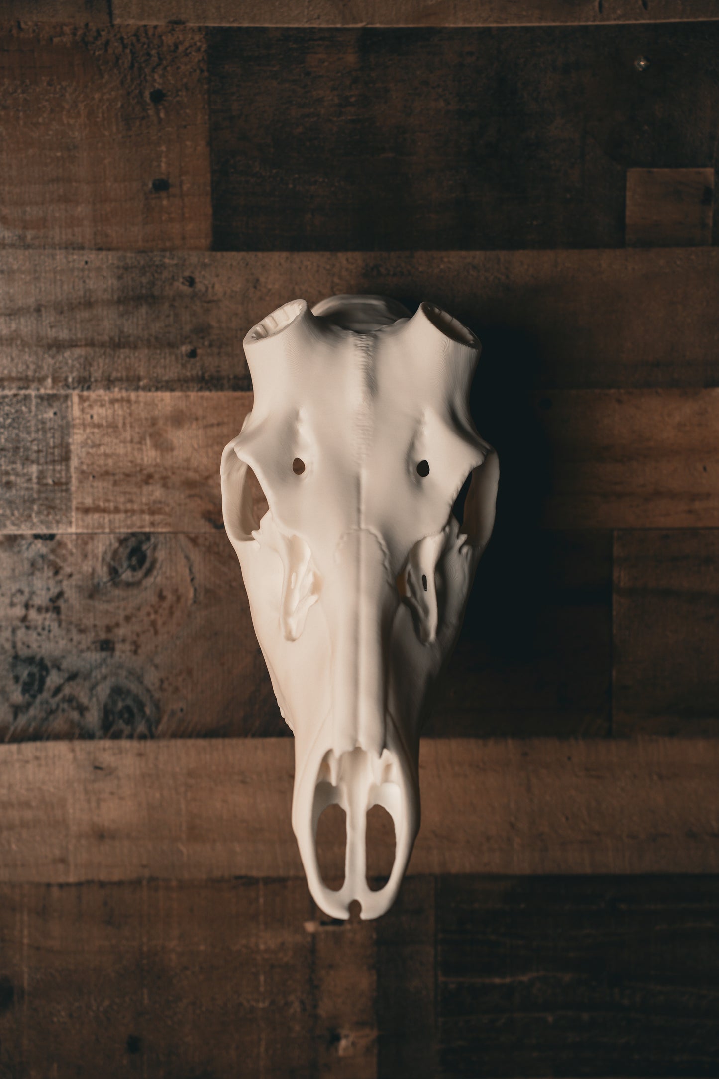 Red Stag Replica Skull
