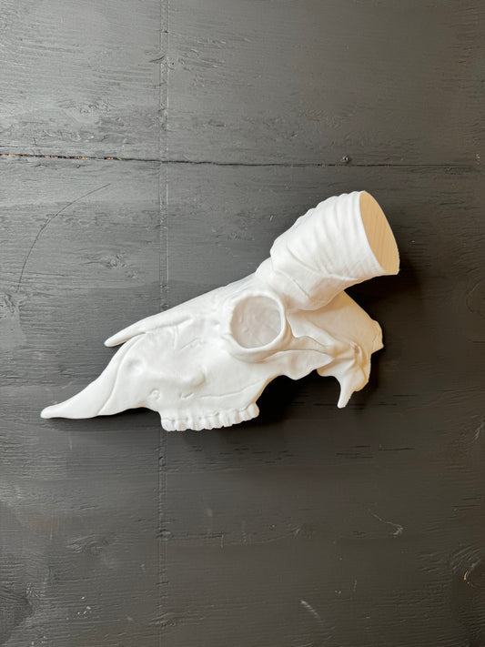 Half Ram Skull