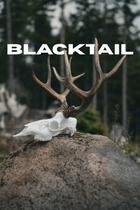 Blacktail Deer Snap Skull - Replica Mount