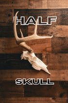 Deer Half Skull Mount