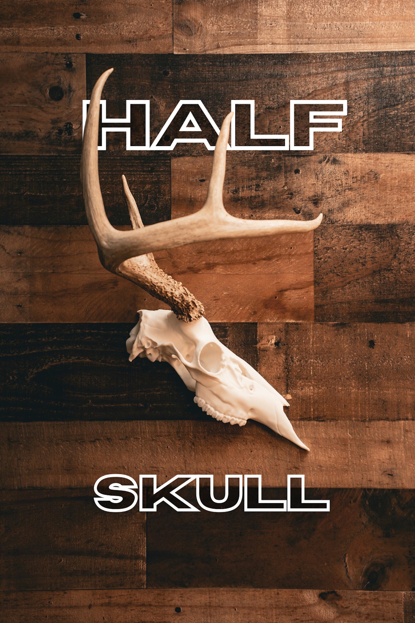 Deer Half Skull Mount