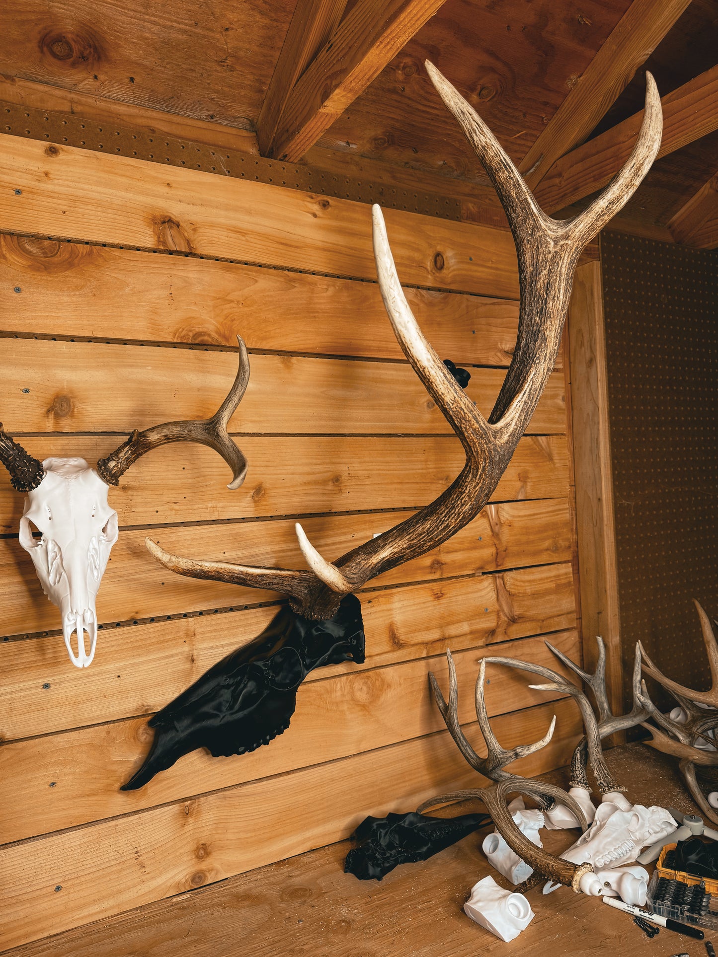Elk Snap Skull - Half