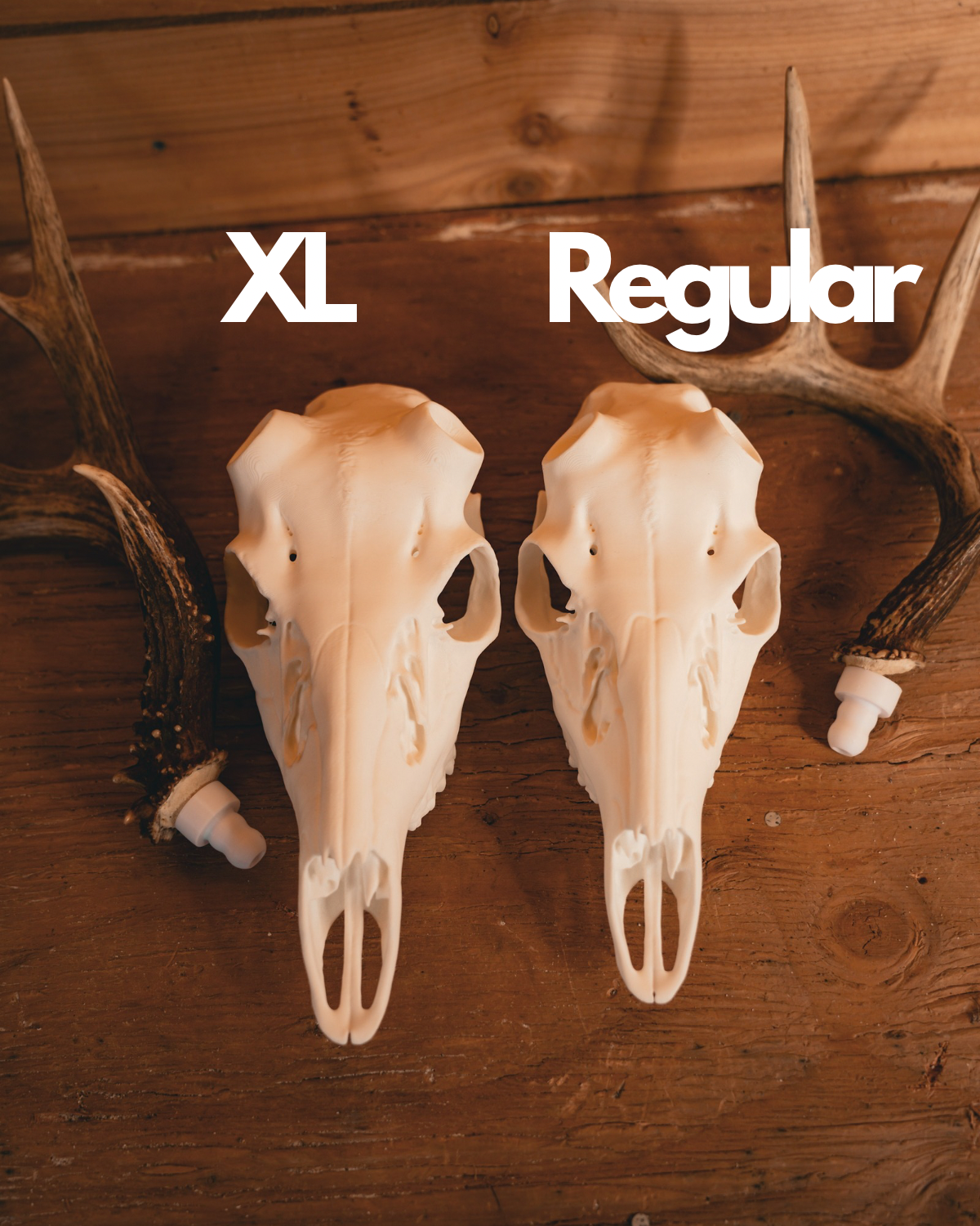 Whitetail Deer Snap Skull - Replica Mount