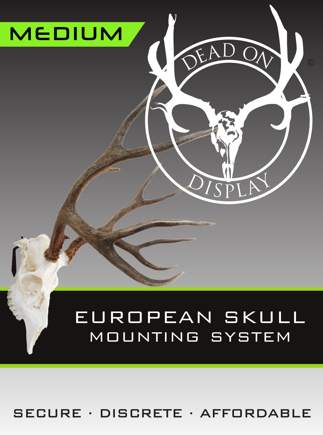 European Skull Mount Hanger - MEDIUM