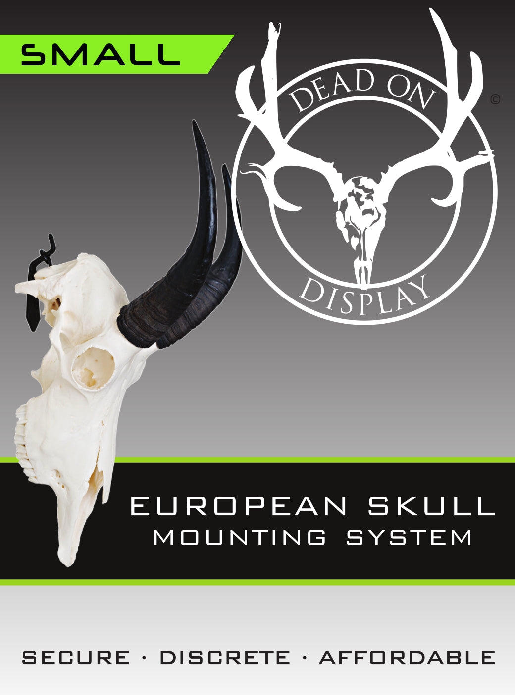 European Skull Mount Hanger - SMALL